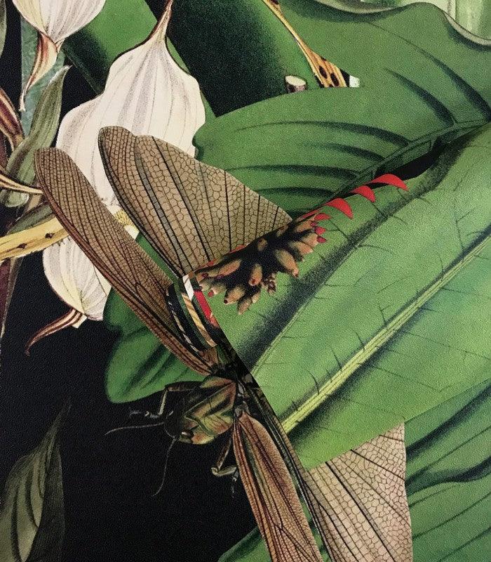 Tapeta TROPICAL COMPOSITION Wallcolors Eye on Design