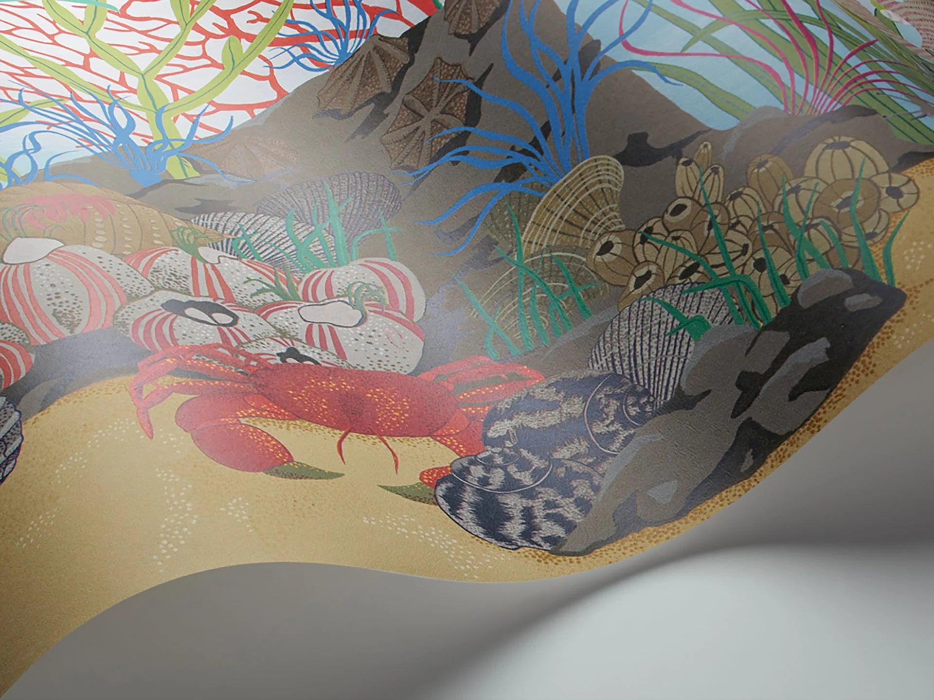 Tapeta WHIMSICAL - Archipelago Border Cole & Son Eye on Design