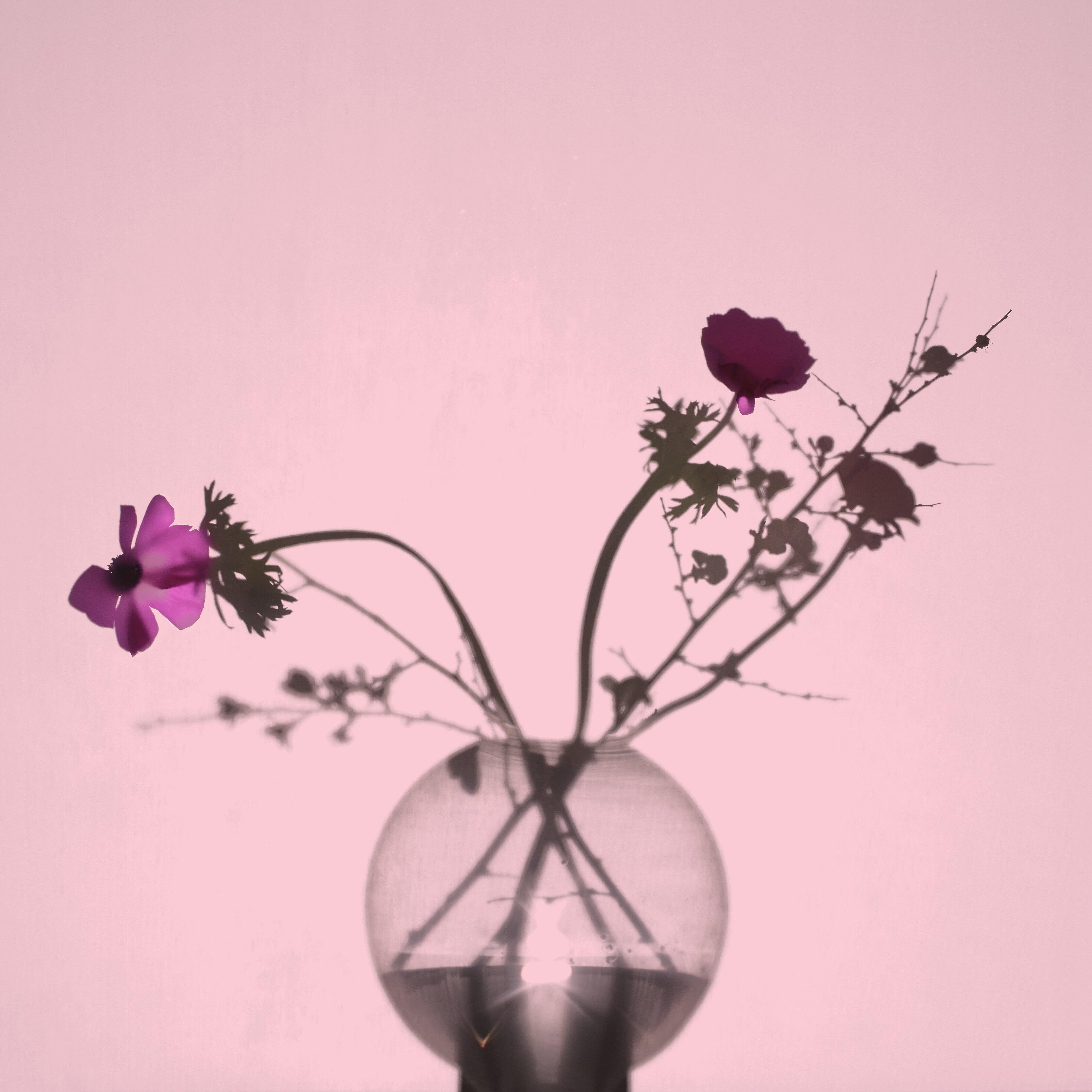 Wazon GLOBE różowy ze złotą podstawą AYTM Eye on Design