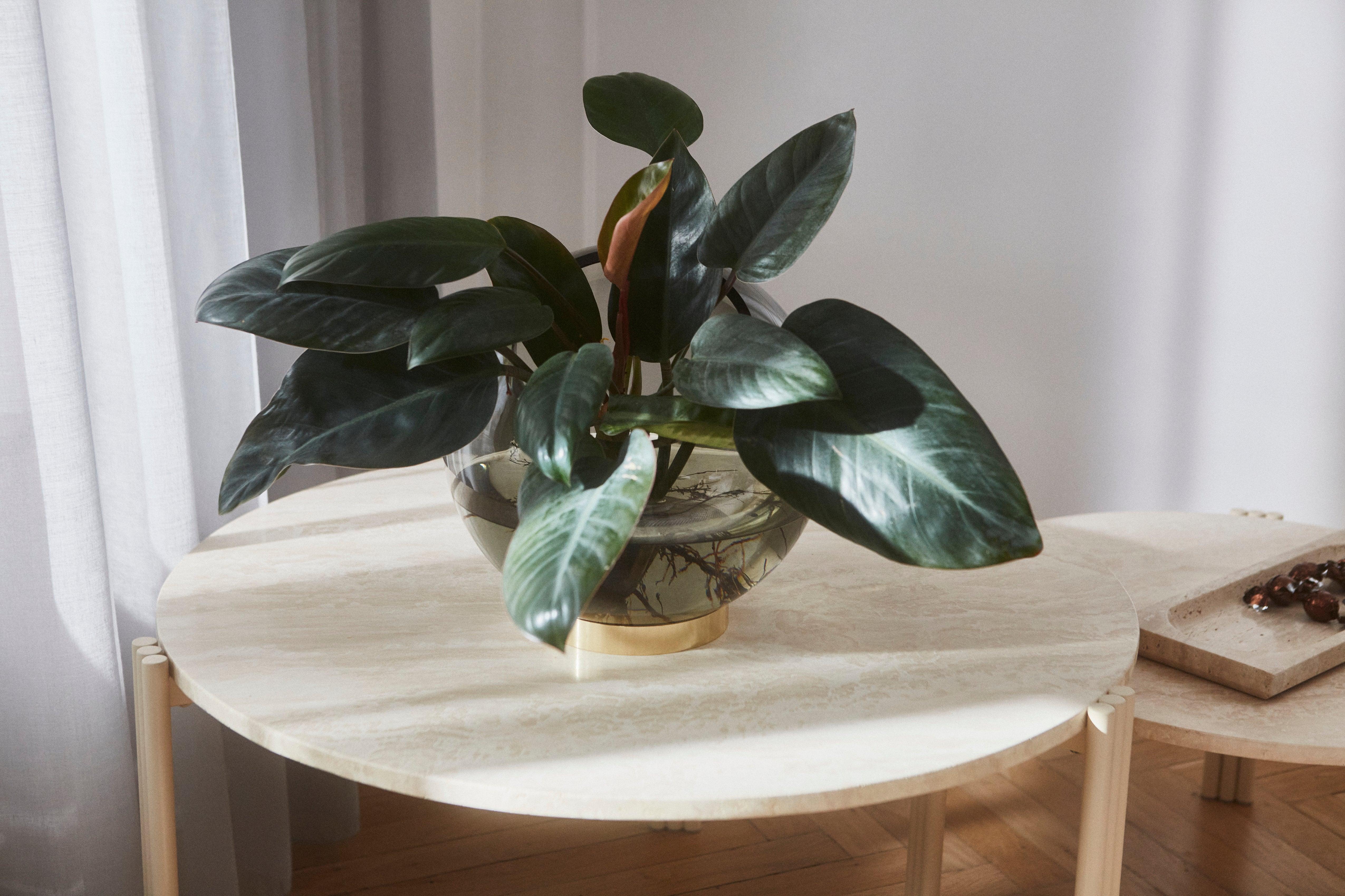 Wazon GLOBE zielony ze złotą podstawą AYTM Eye on Design