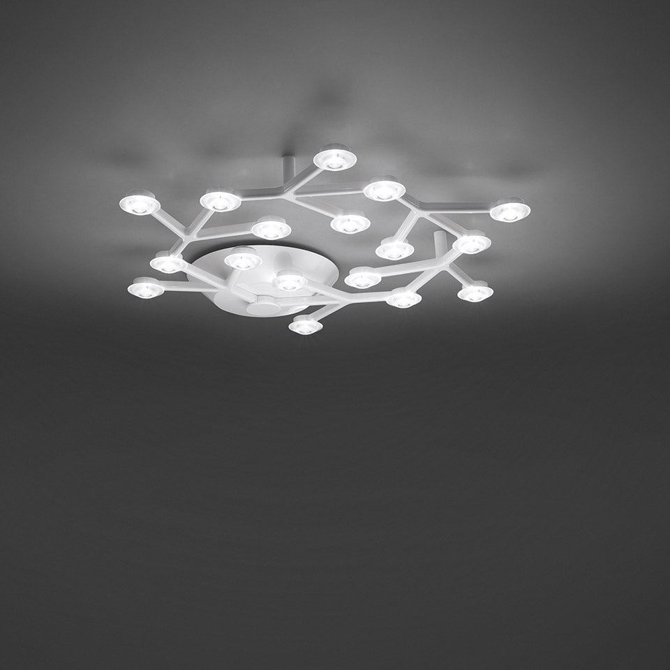 LED-plafondlamp NET CIRCLE wit