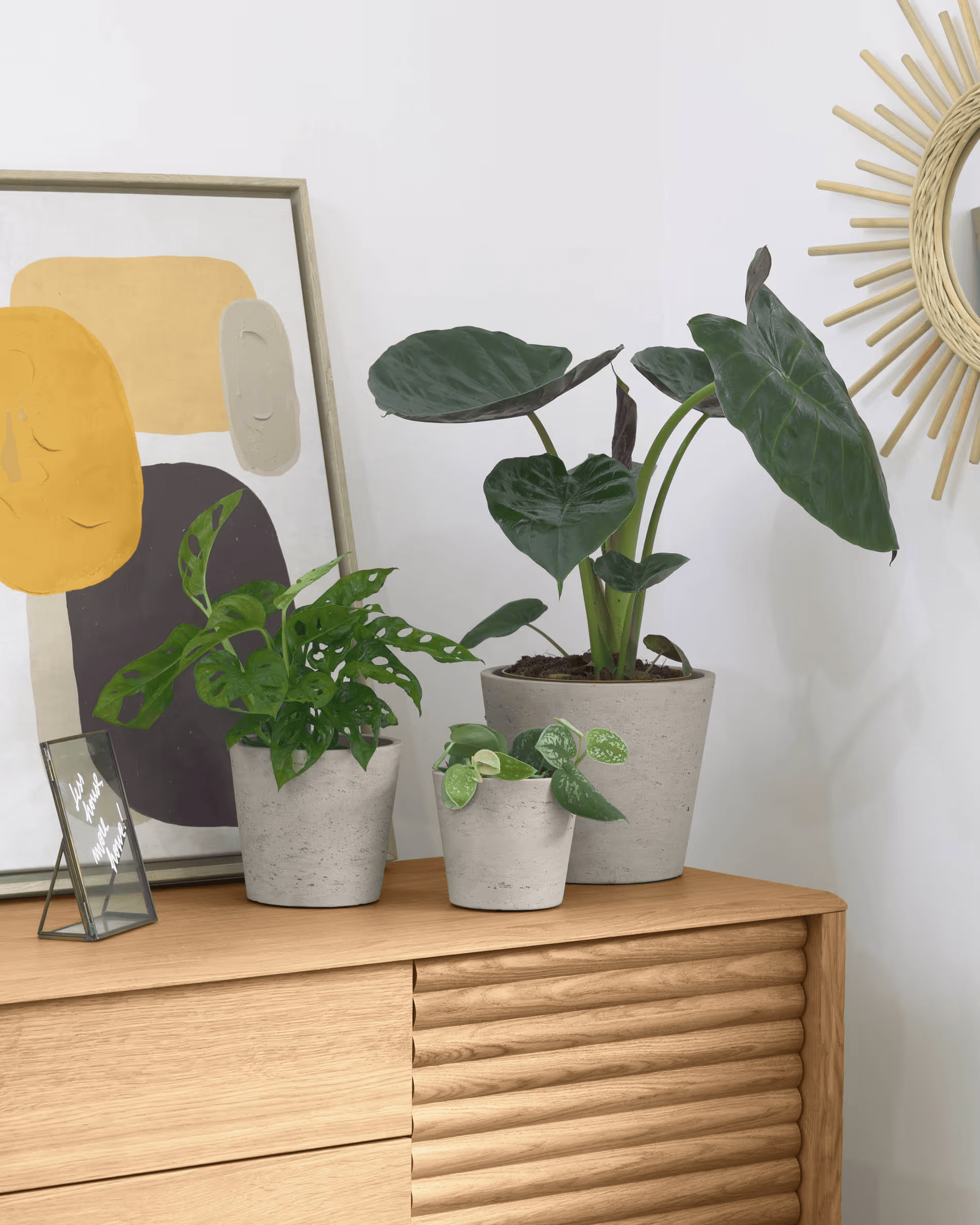 Zestaw doniczek LOW cement La Forma Eye on Design