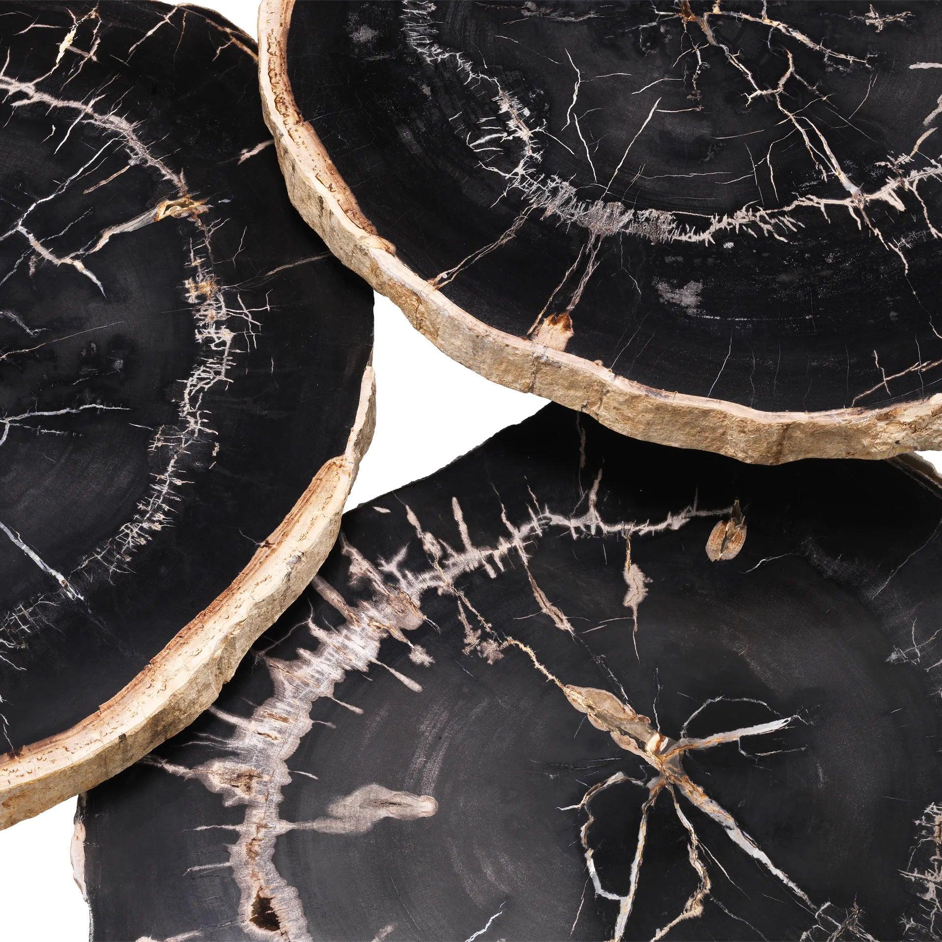 Zestaw stolików kawowych DE SOTO ciemne skamieniałe drewno Eichholtz Eye on Design