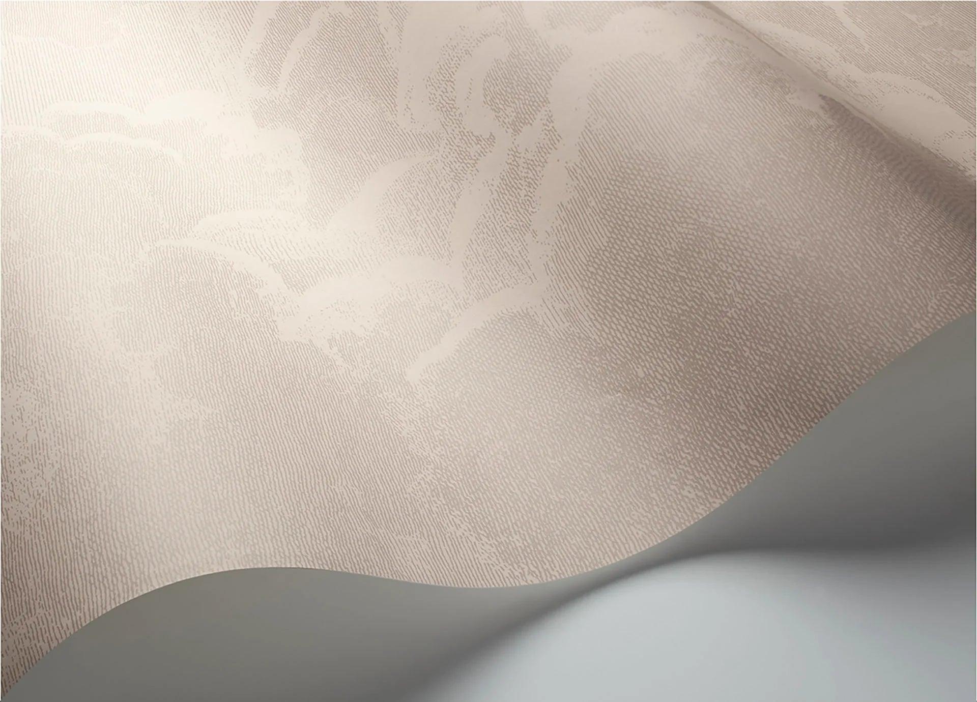 Zestaw tapet FORNASETTI - Nuvolette brzoskwiniowy Cole & Son Eye on Design