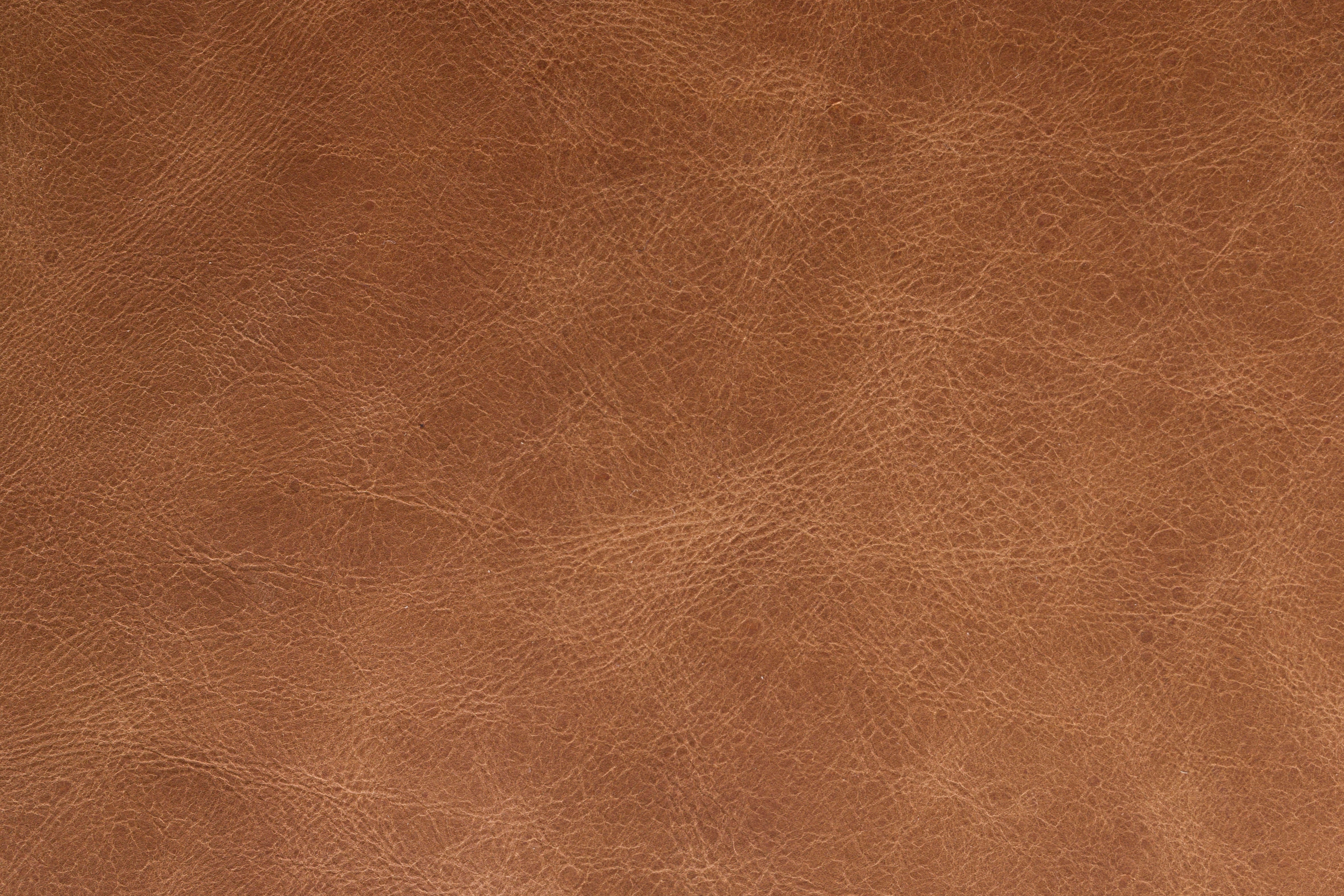 Sofa DOUGLAS cognac Leder