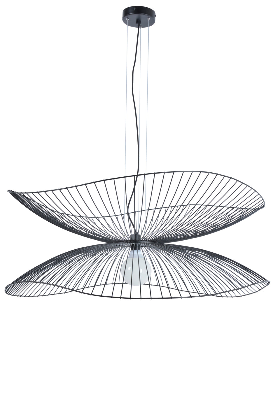 Schwarze Lindenlampe