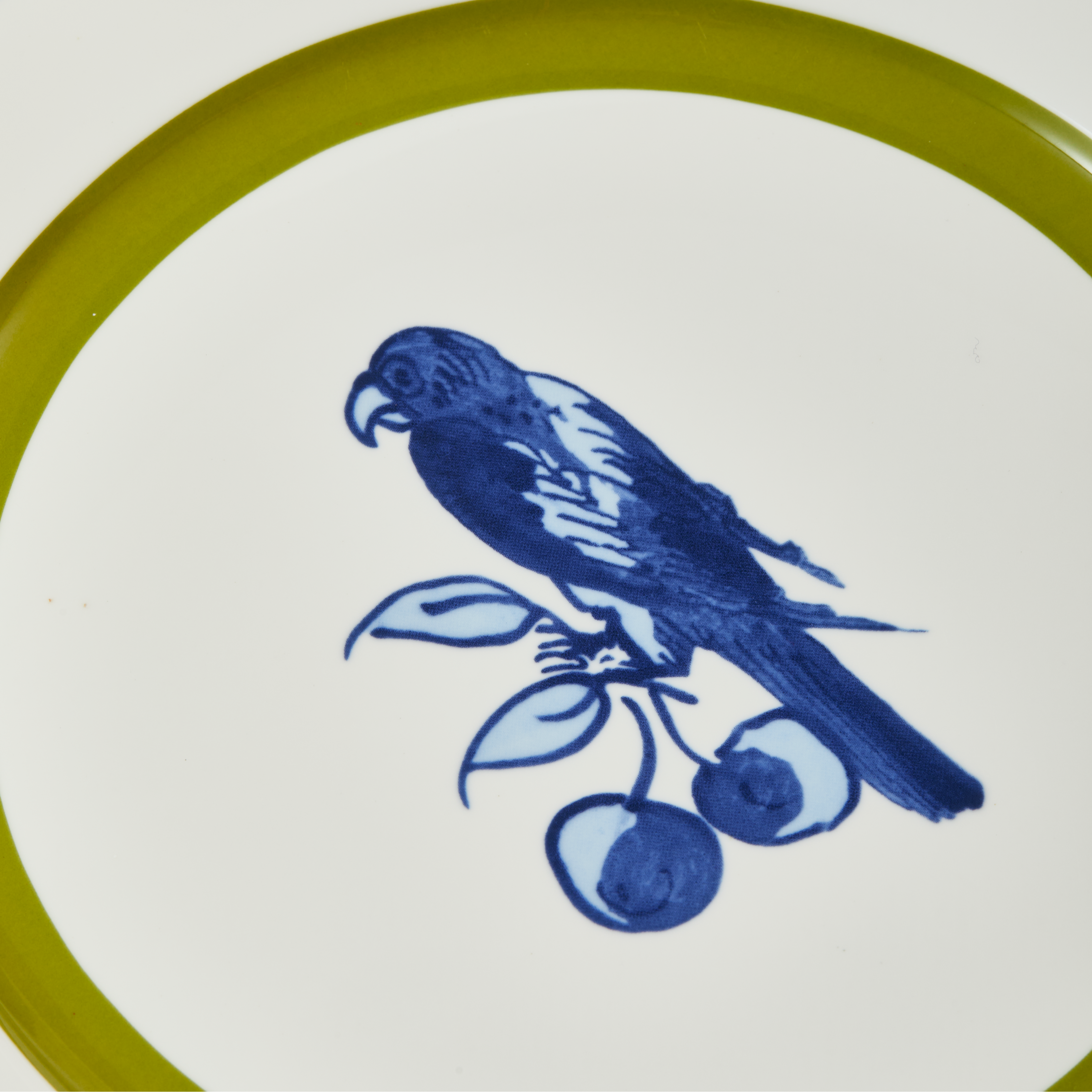 Bird Patterned Plate Set White with Olive and Blue