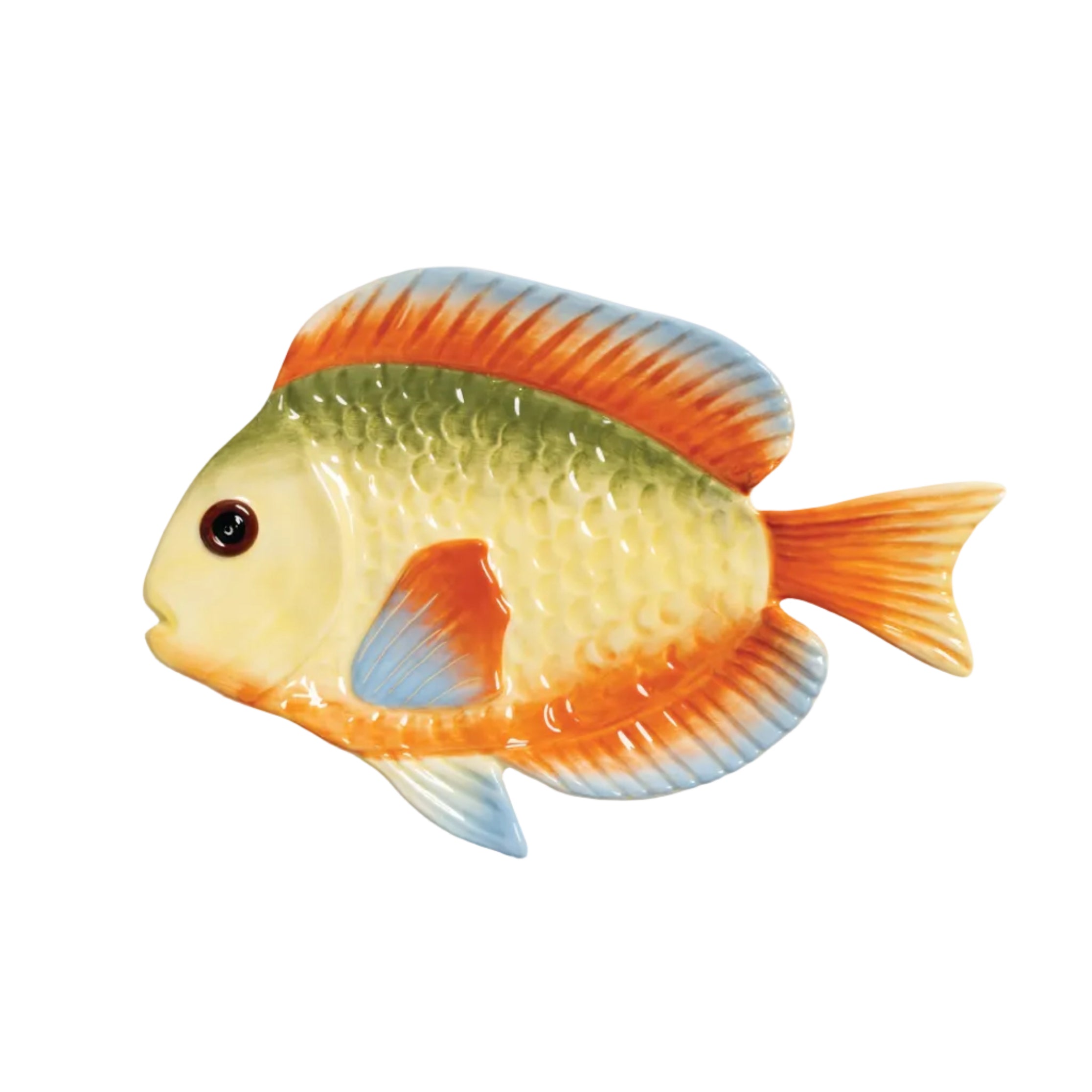 Vissenbord RAINBOW kleurrijk