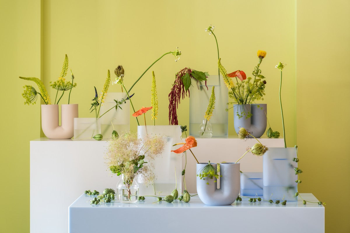 Transparent Glass Vase SILENT