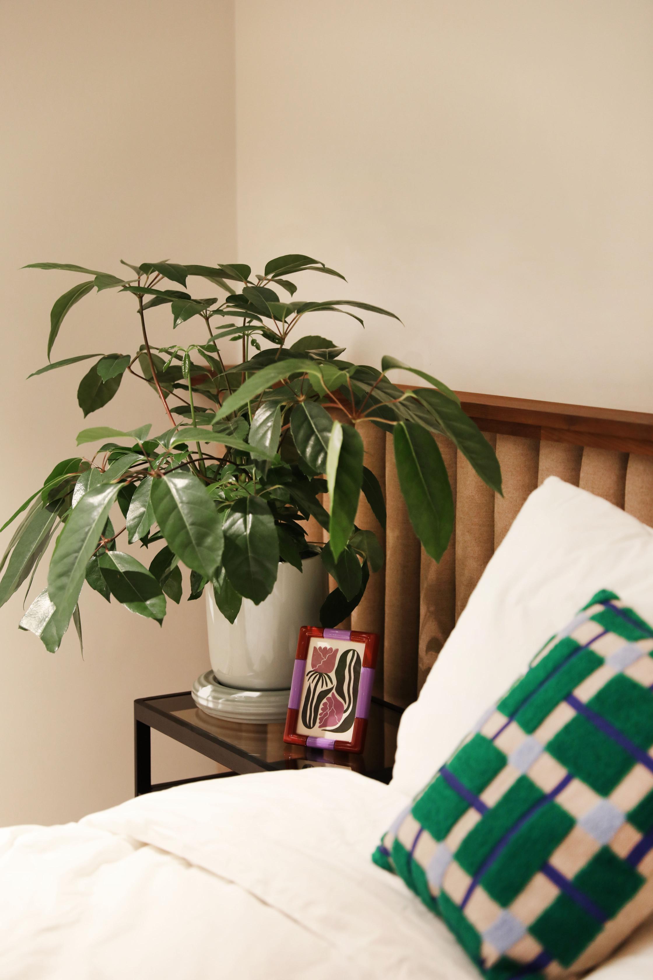 Fotolijst RIFT RECHTHOEK bordeauxrood met paars