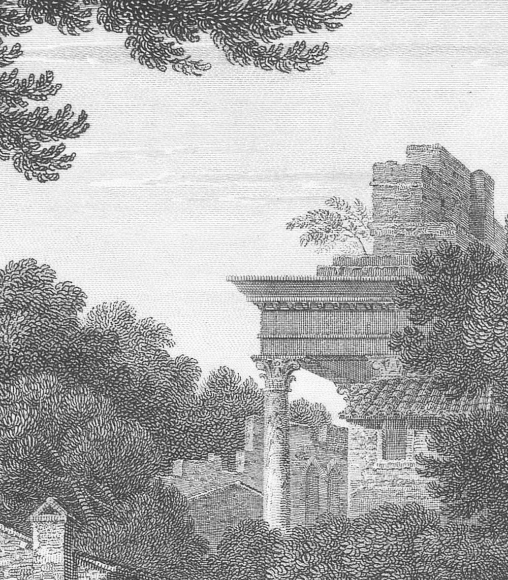 Vliesbehang met het landschap ANCIENT RIVERSIDE GROVE grijs