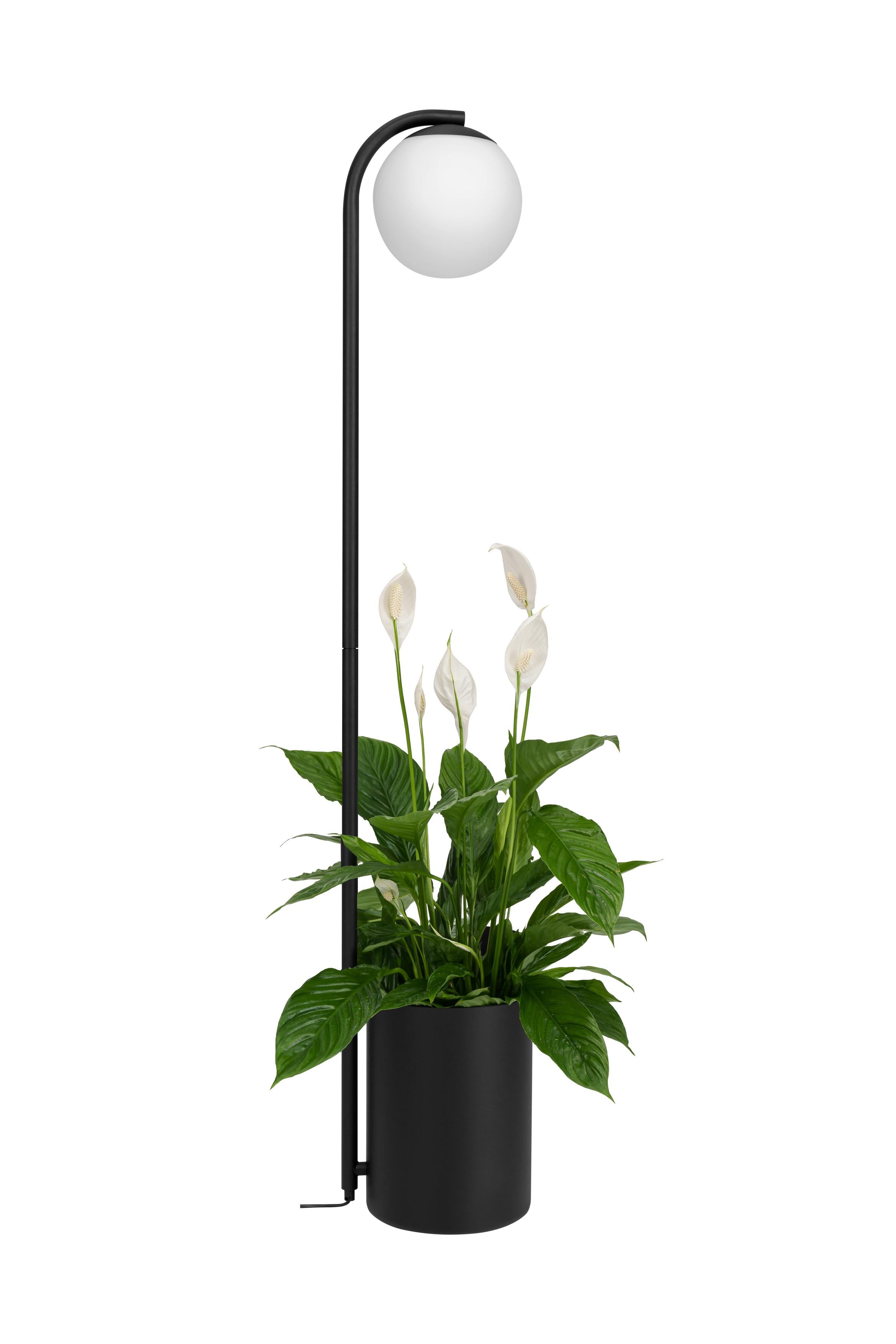 Stehlampe mit Tisch BOTANICA DECO XL schwarz