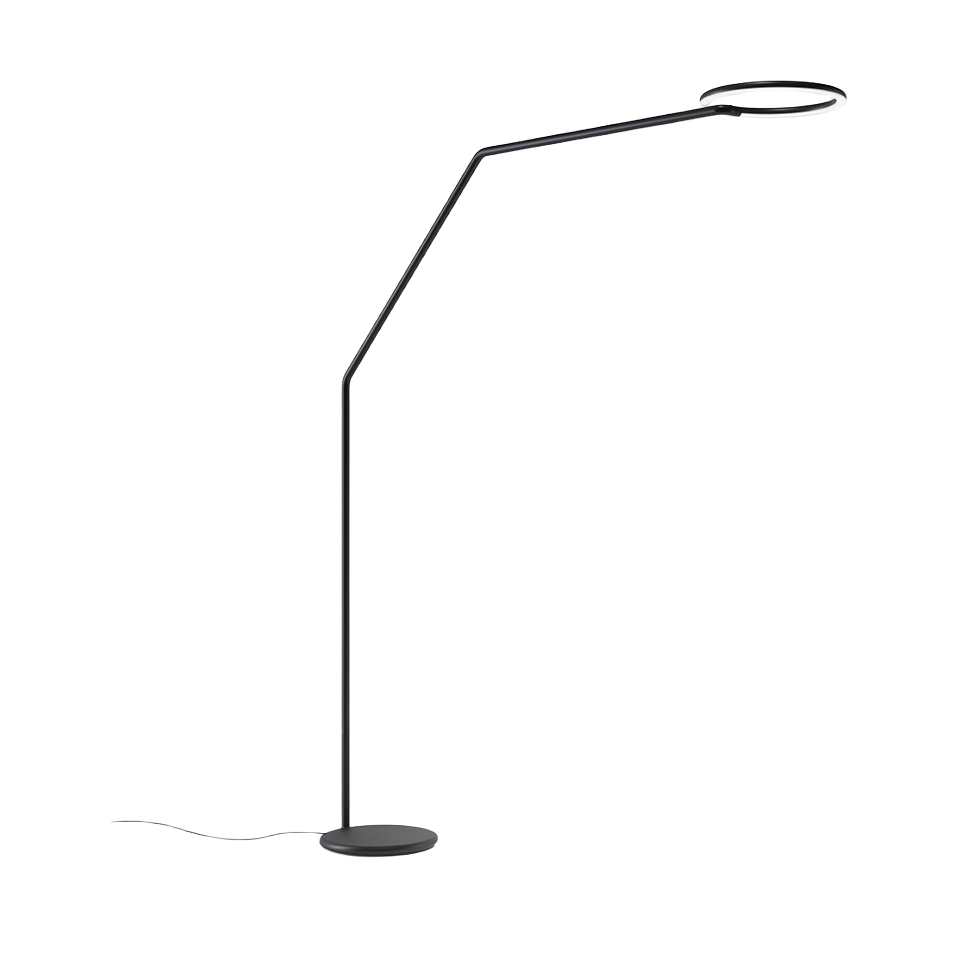 VINE LIGHT black floor lamp with arm