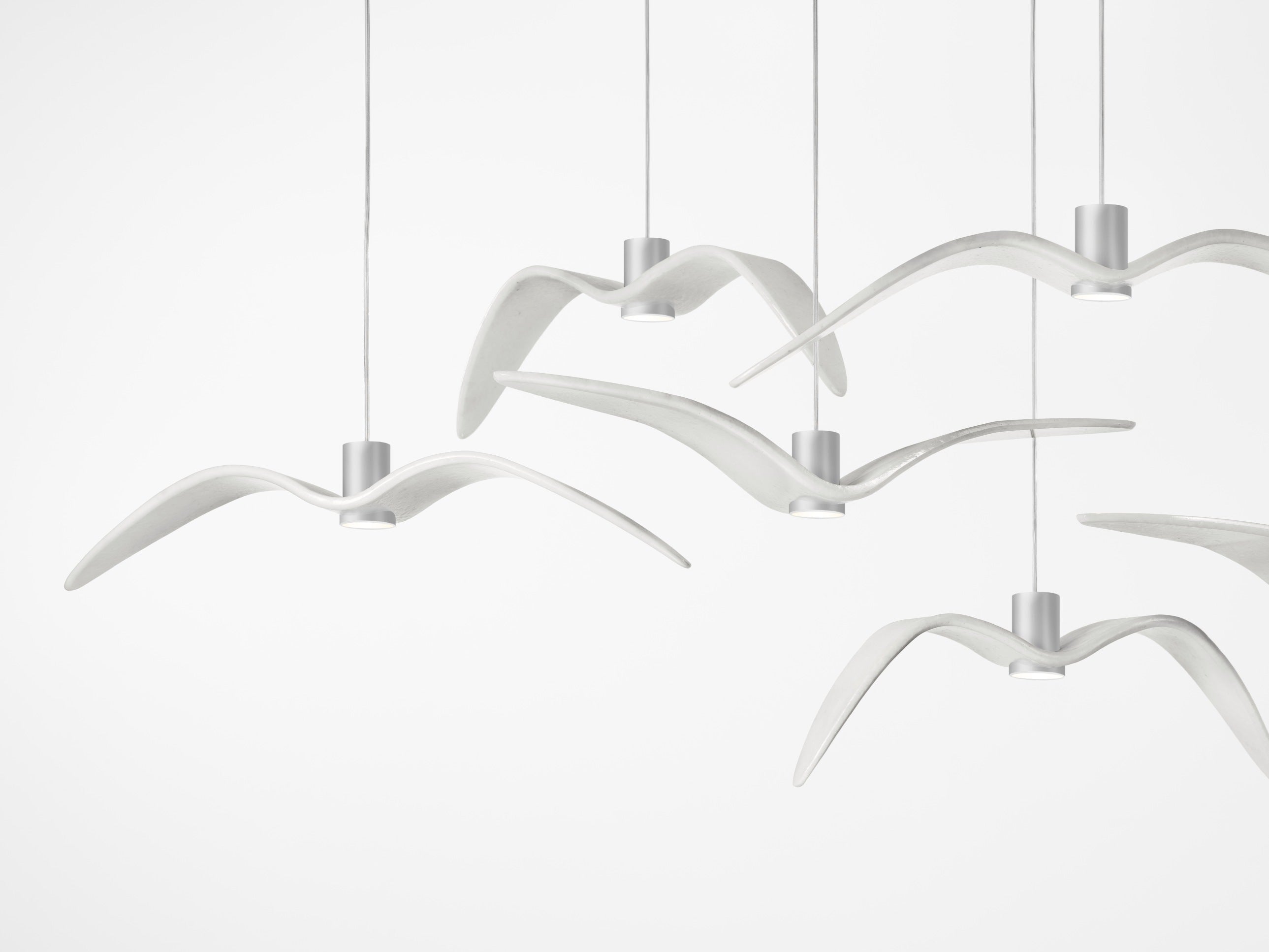 Hanging Lamp Night Birds Glas