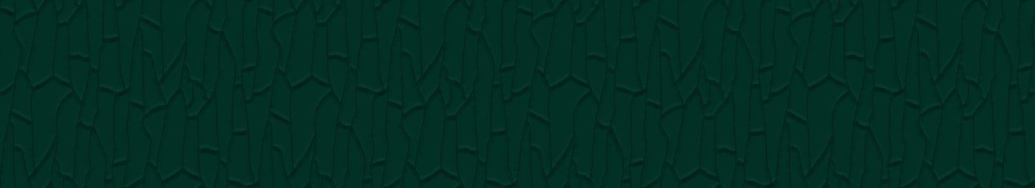 Strukturierte Textiltapete Samt 3D SAIHO - ÉMERAUDE smaragdgrün