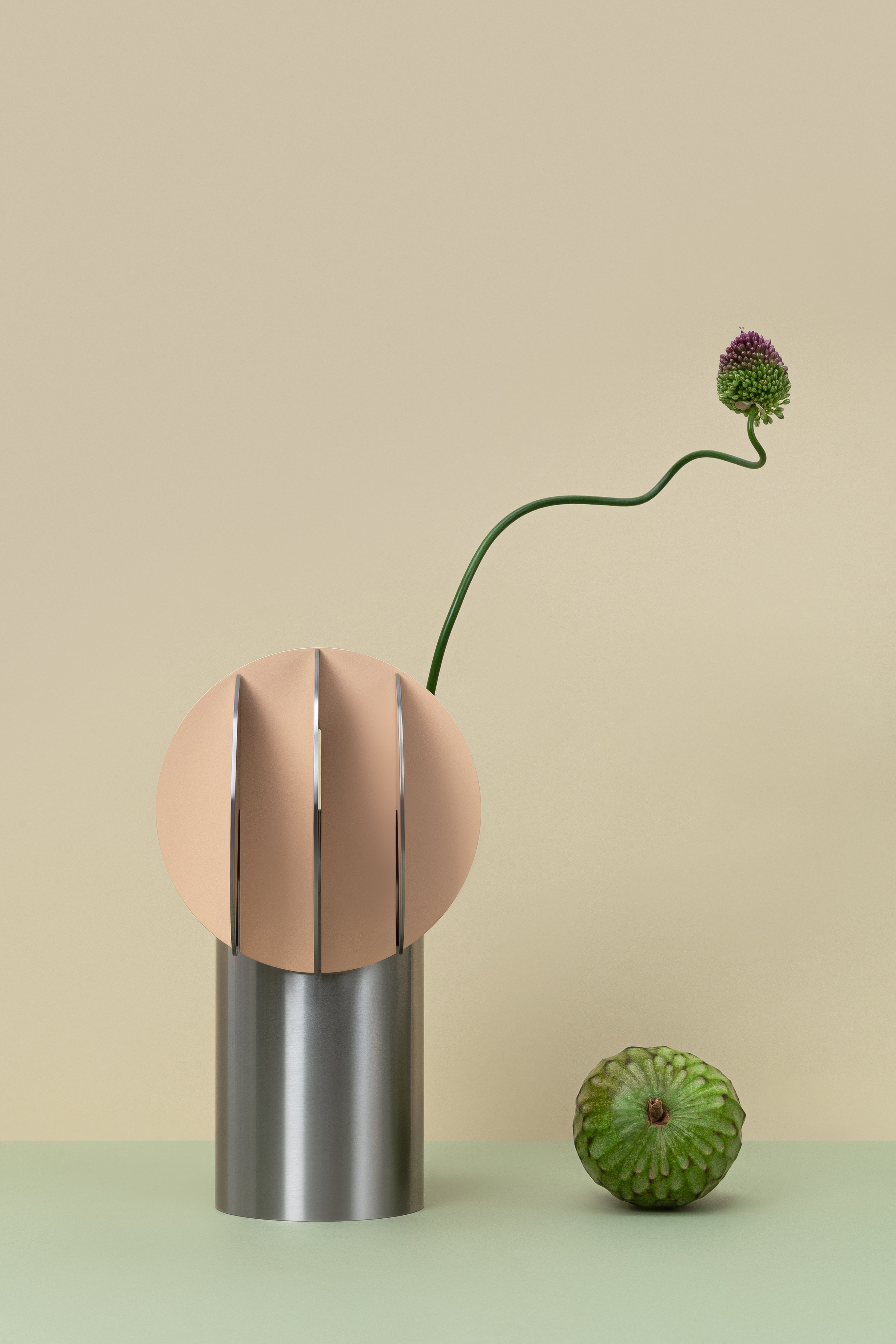 Vaas DELAUNAY staal met poederroze