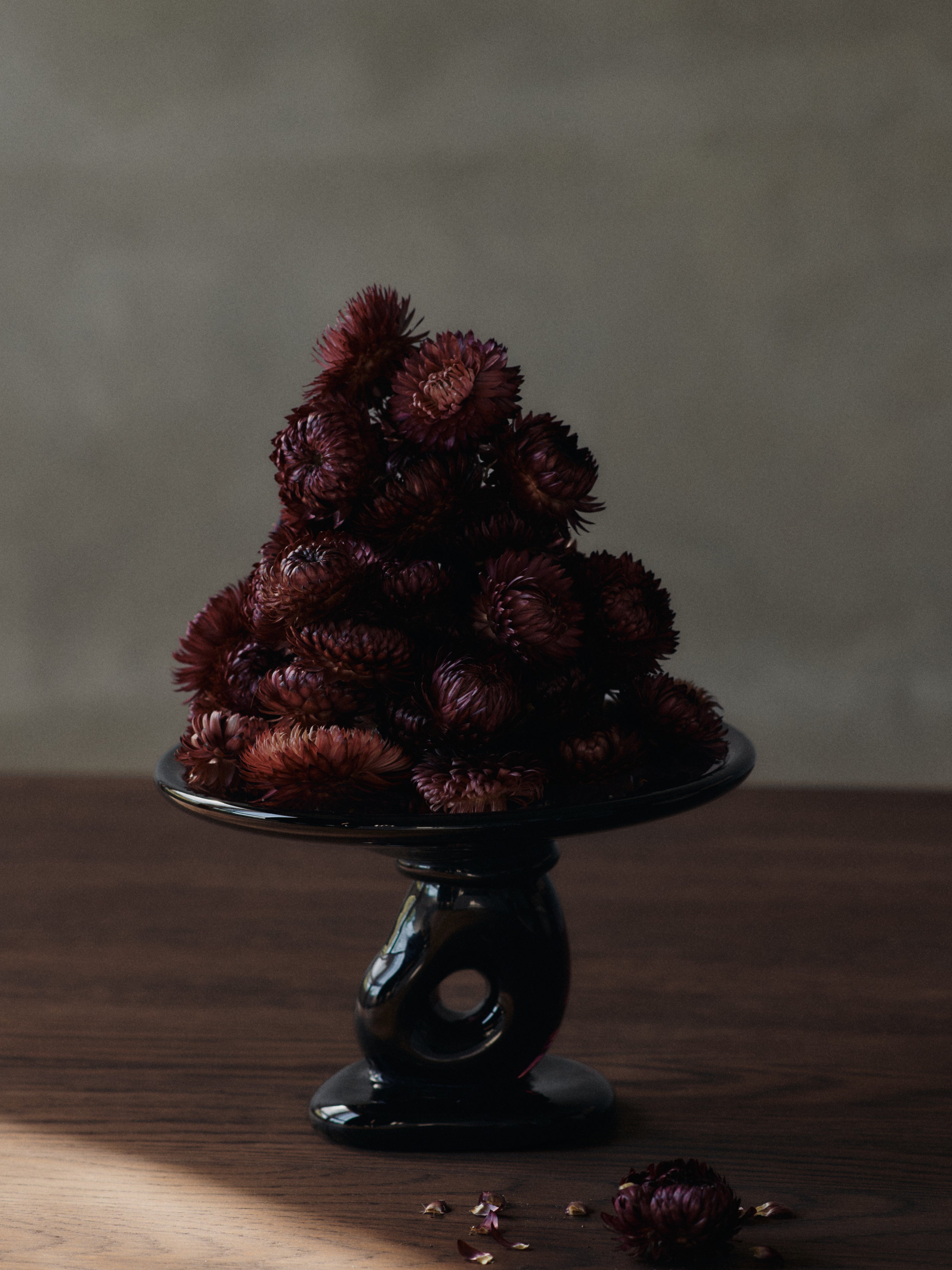 Patera DAMO burgundy blown glass