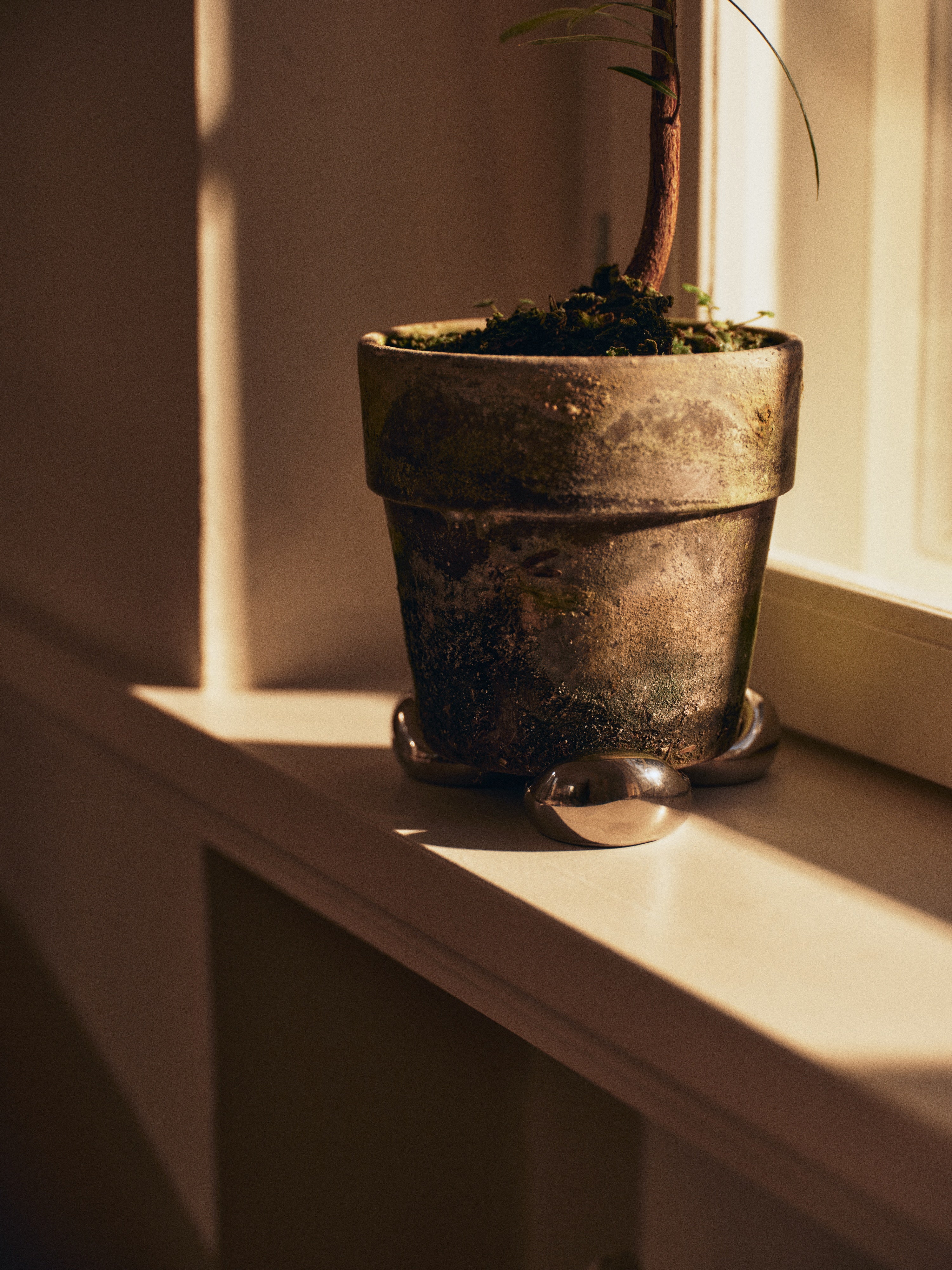 Set van onderzetters voor de NUBE bloempot zilver