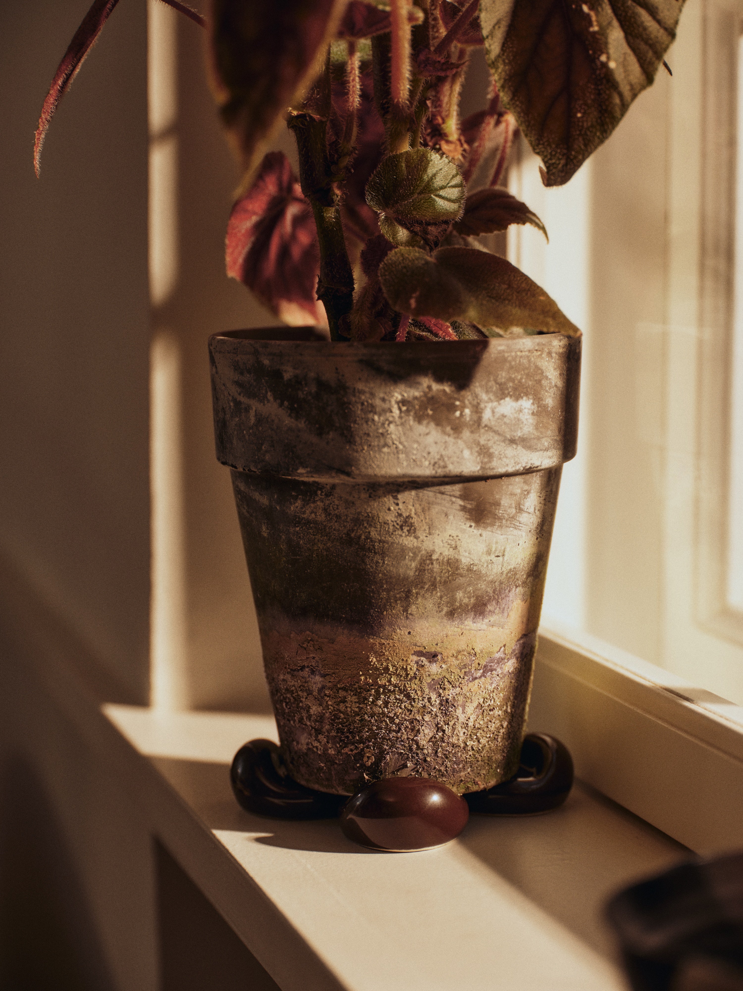 Set onderzetters voor bloempot NUBE bruin