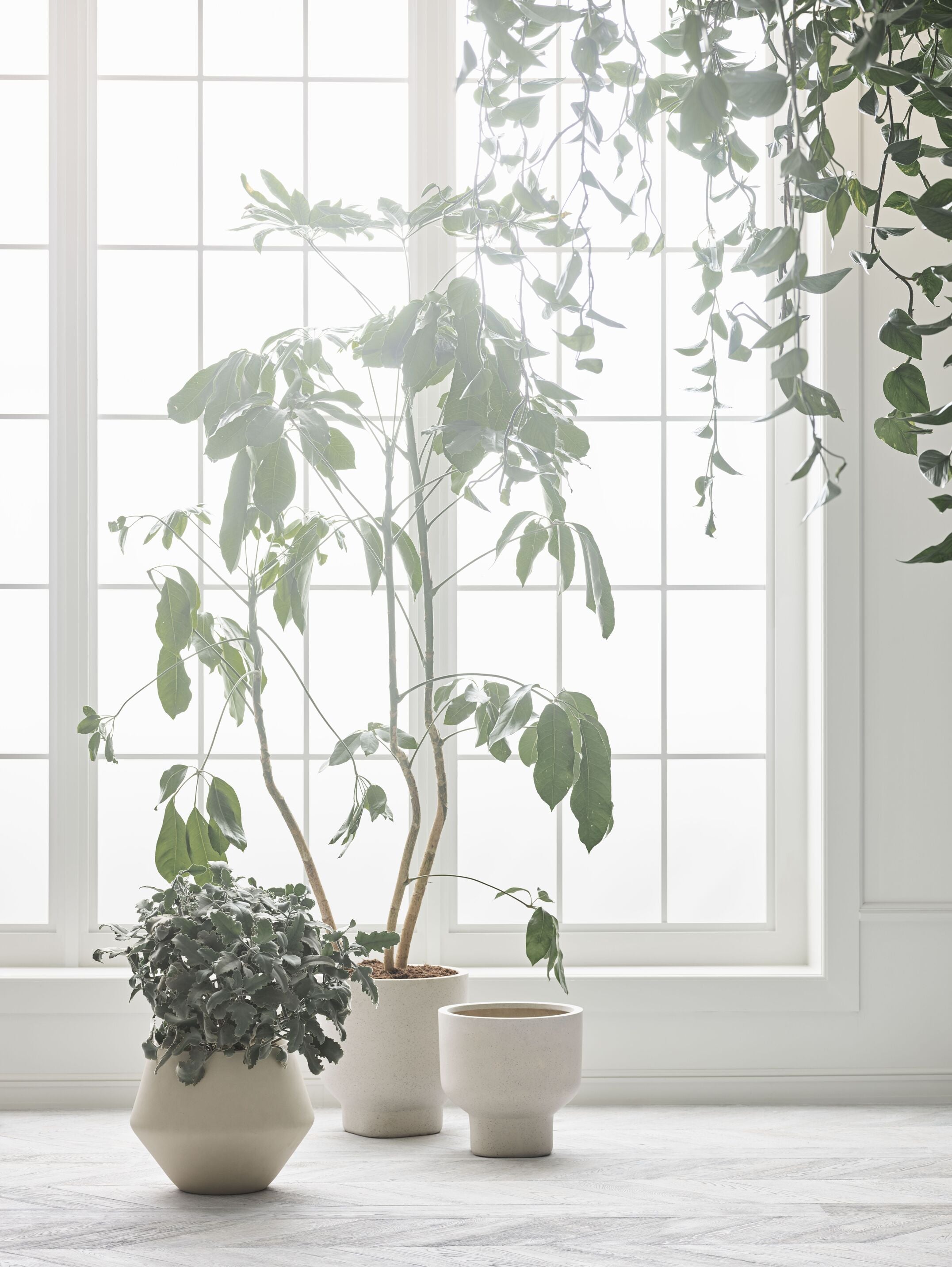 Donica GROVE beżowa ceramika