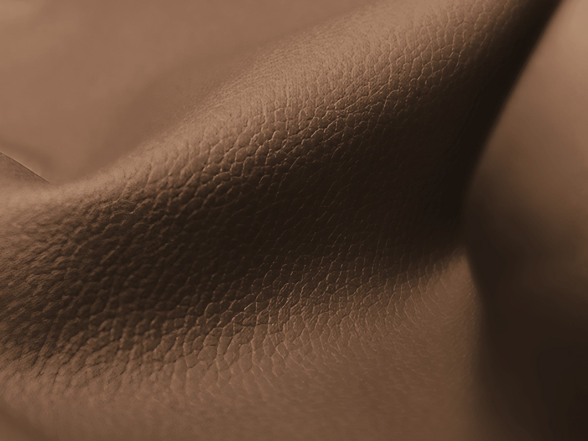 Modulaire 2-zitsbank LOKUA van chocoladekleurig ecologisch leer