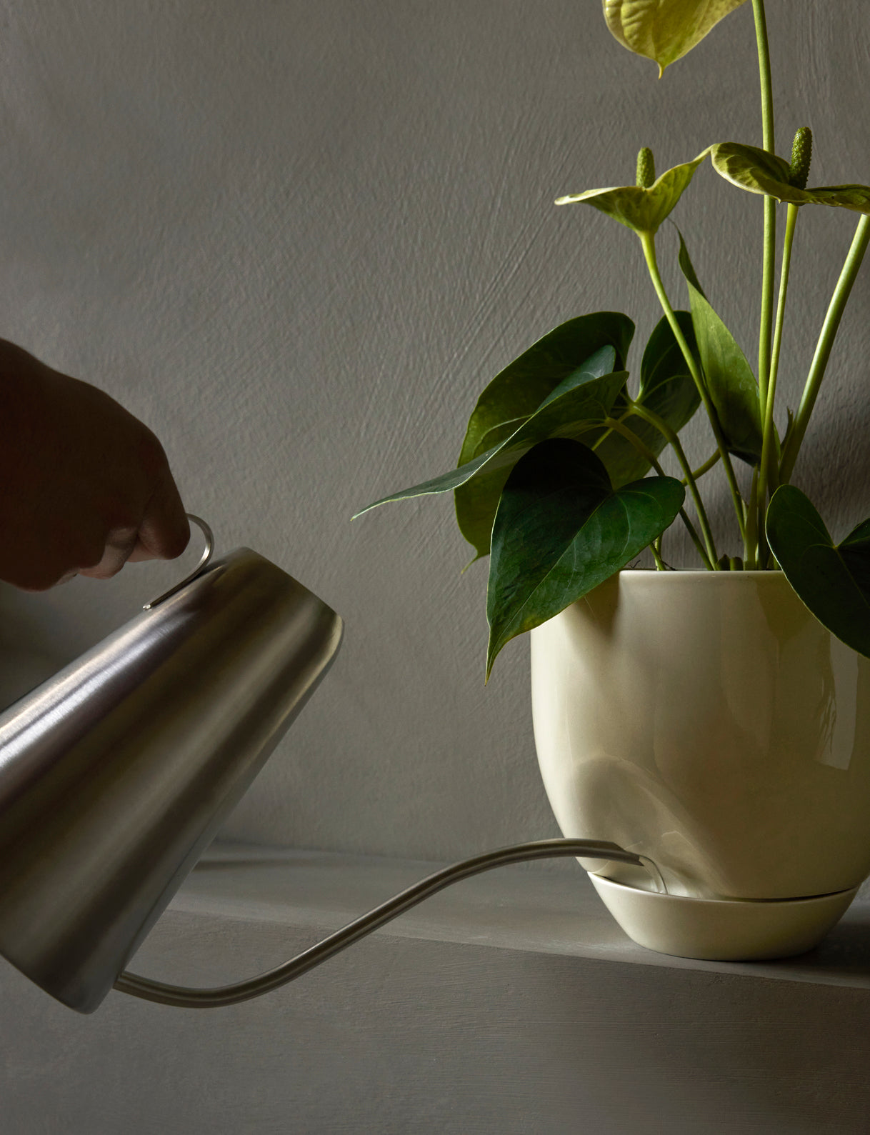 Blumentopf HYDROUS beige