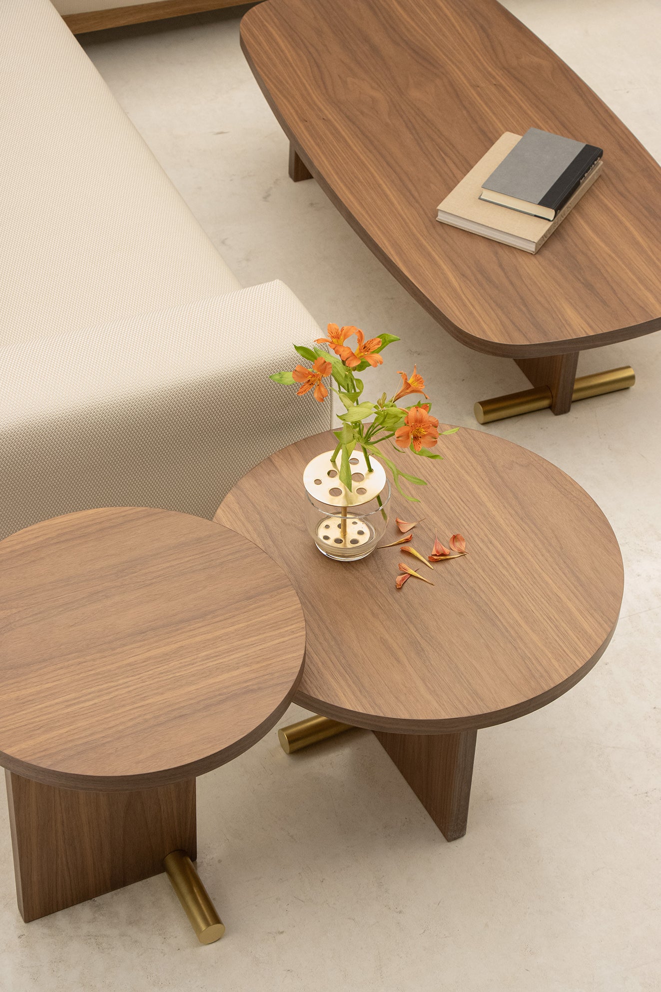 NOVA coffee table with walnut veneer and brass finish