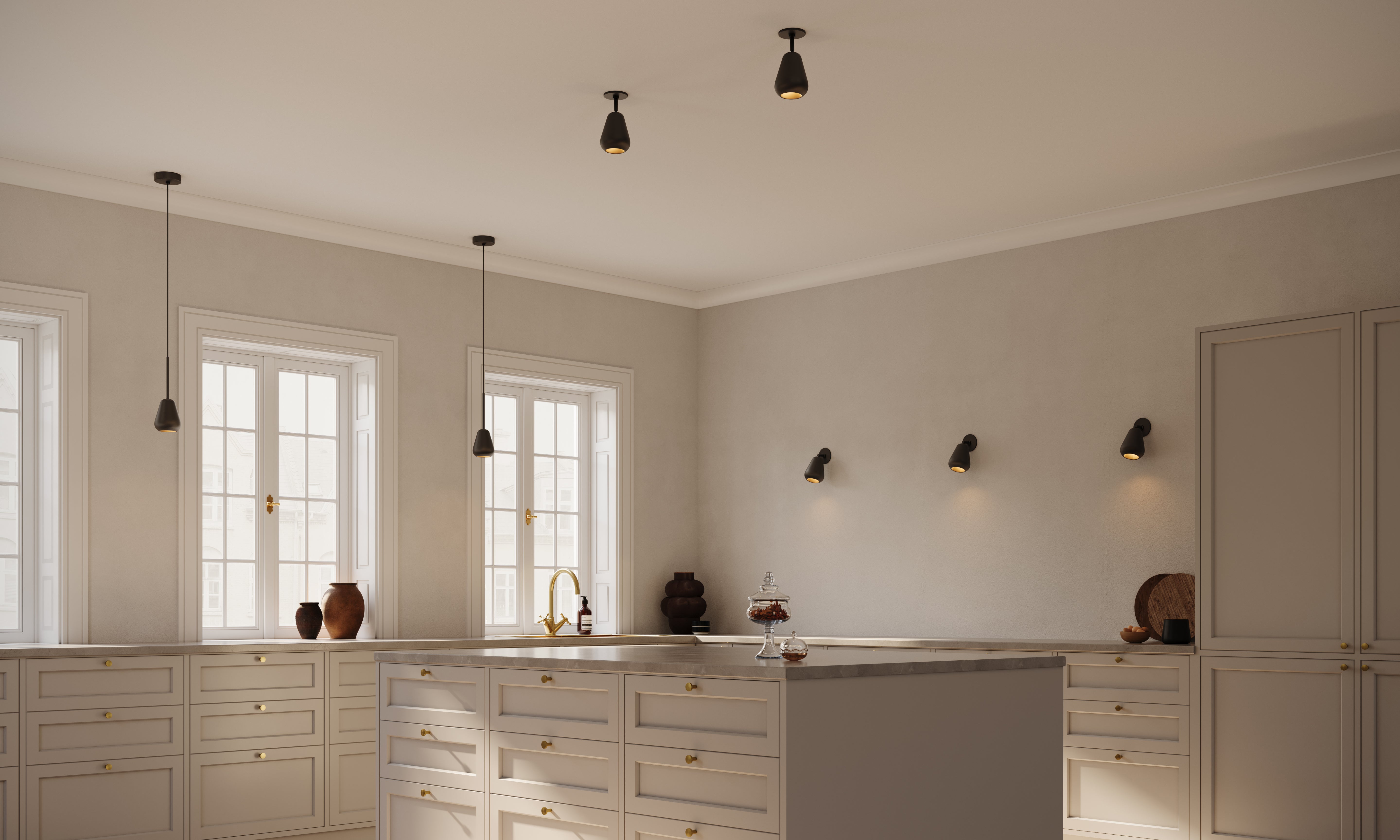 ANOLI Black Pendant Spotlight