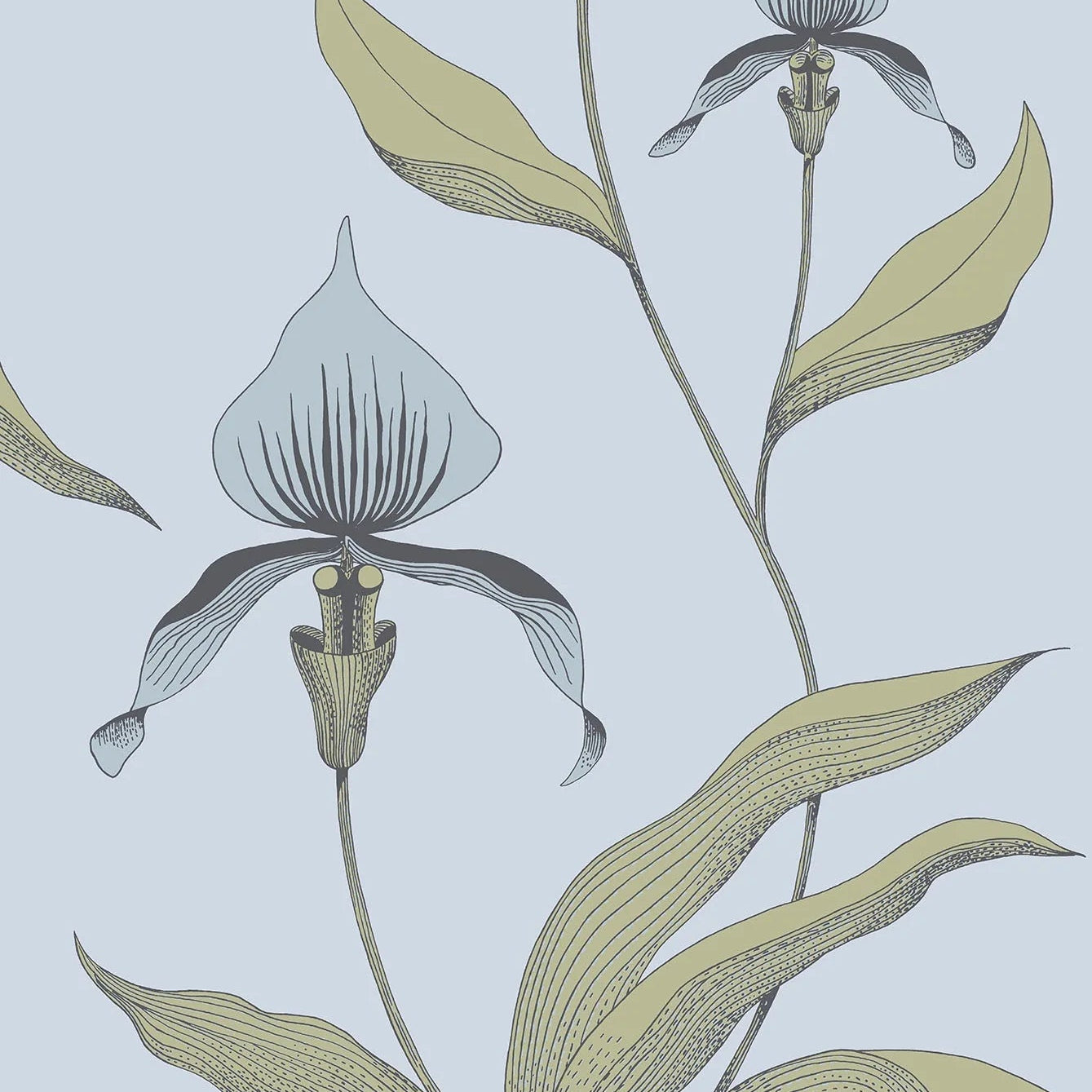 Wallpaper with a plant motif of orchid flowers CONTEMPORARY COLLECTION - ORCHID powder blue with olive