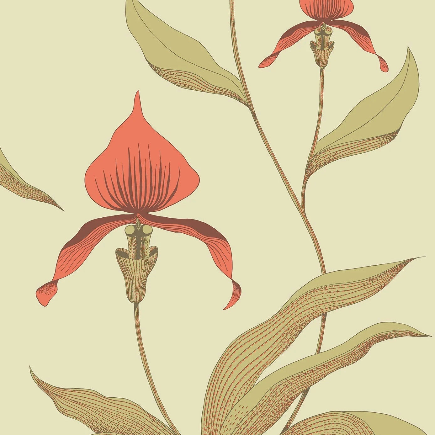 Tapete mit Pflanzenmotiv von Orchideen CONTEMPORARY COLLECTION - ORCHID olivgrün mit orange