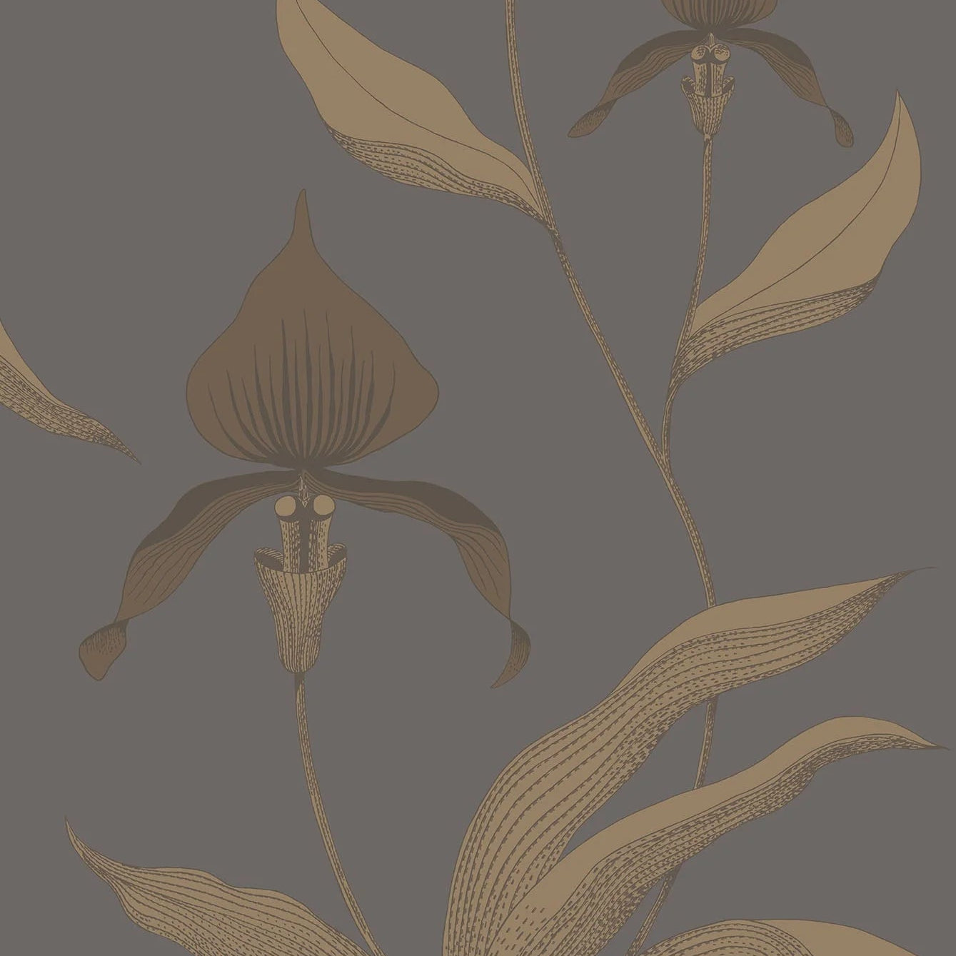 Wallpaper with a plant motif of orchid flowers CONTEMPORARY COLLECTION - ORCHID brown with dark gray