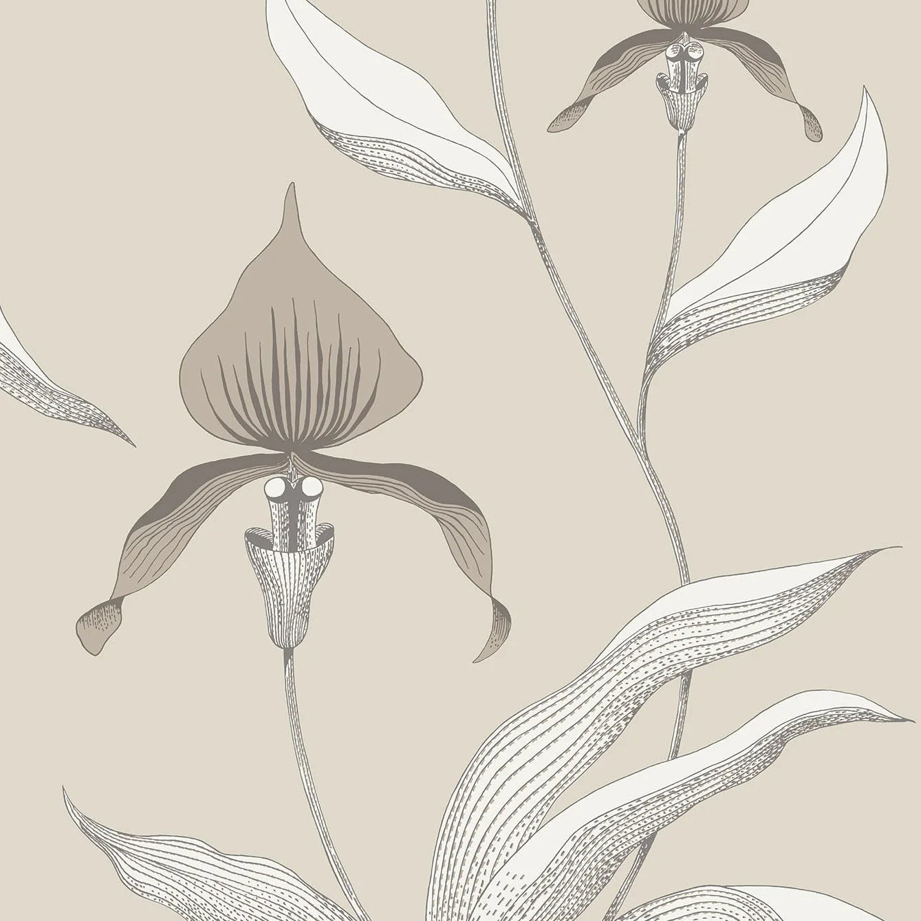 Wallpaper with a plant motif of orchid flowers CONTEMPORARY COLLECTION - ORCHID taupe with brown