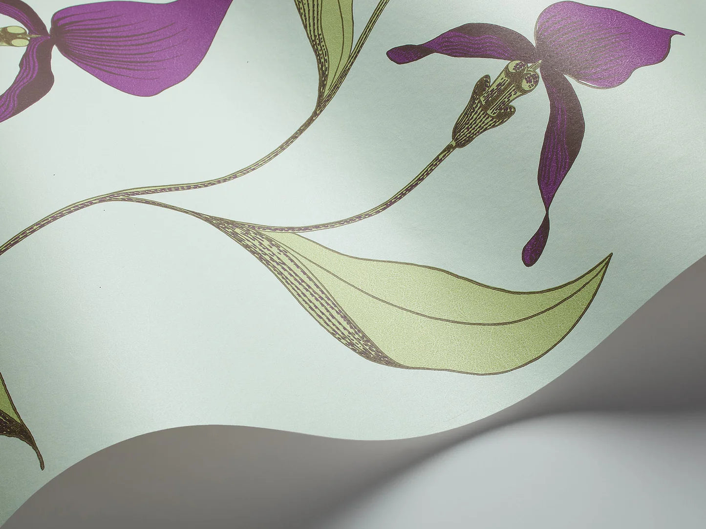 Behang met een plantmotief van orchideeën CONTEMPORARY COLLECTION - ORCHID paars met groen