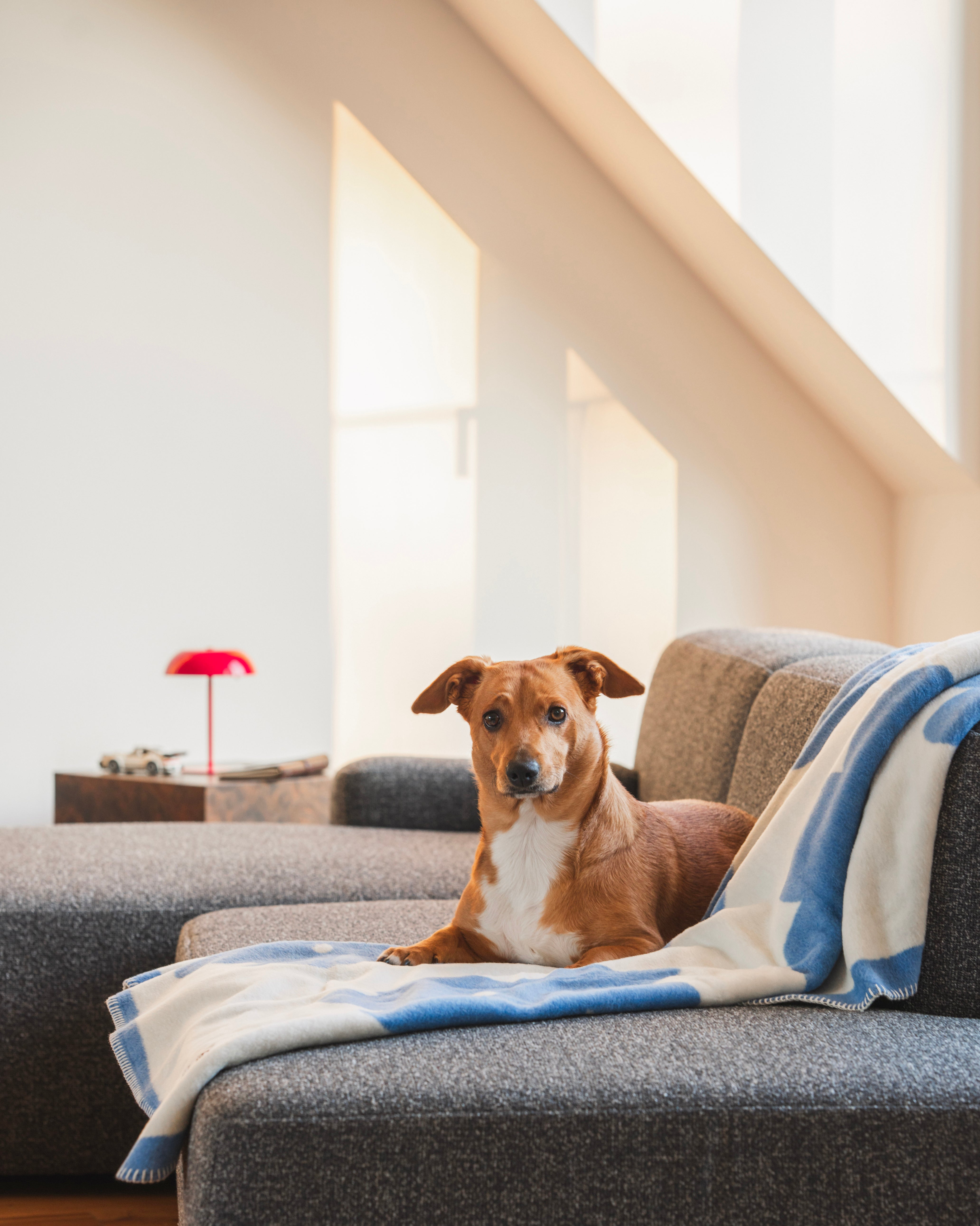 Offene linke modulare Eckcouch UMI stein schwarz