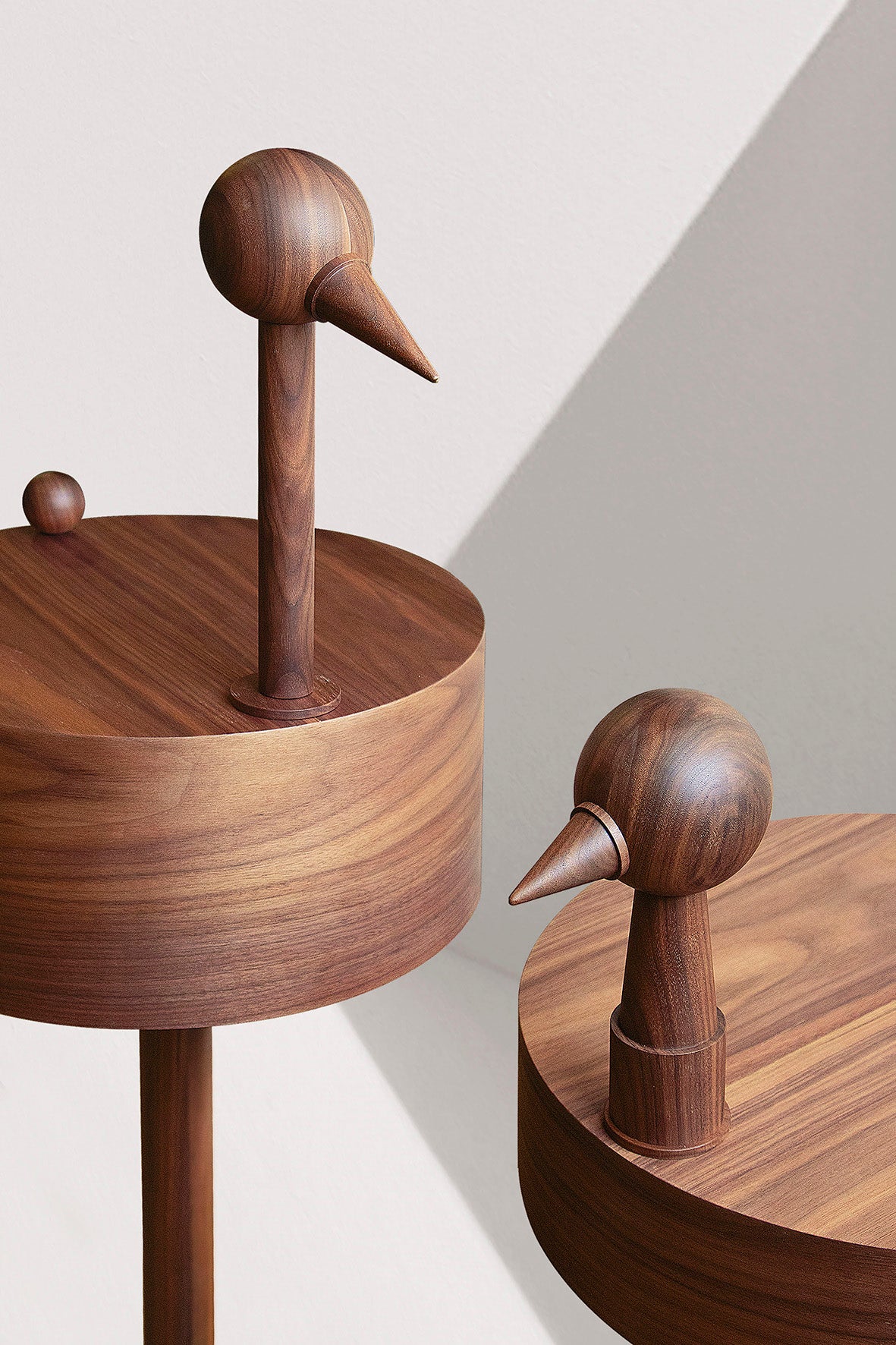 RARA AVIS Walnut Veneer Side Table with Marble Base