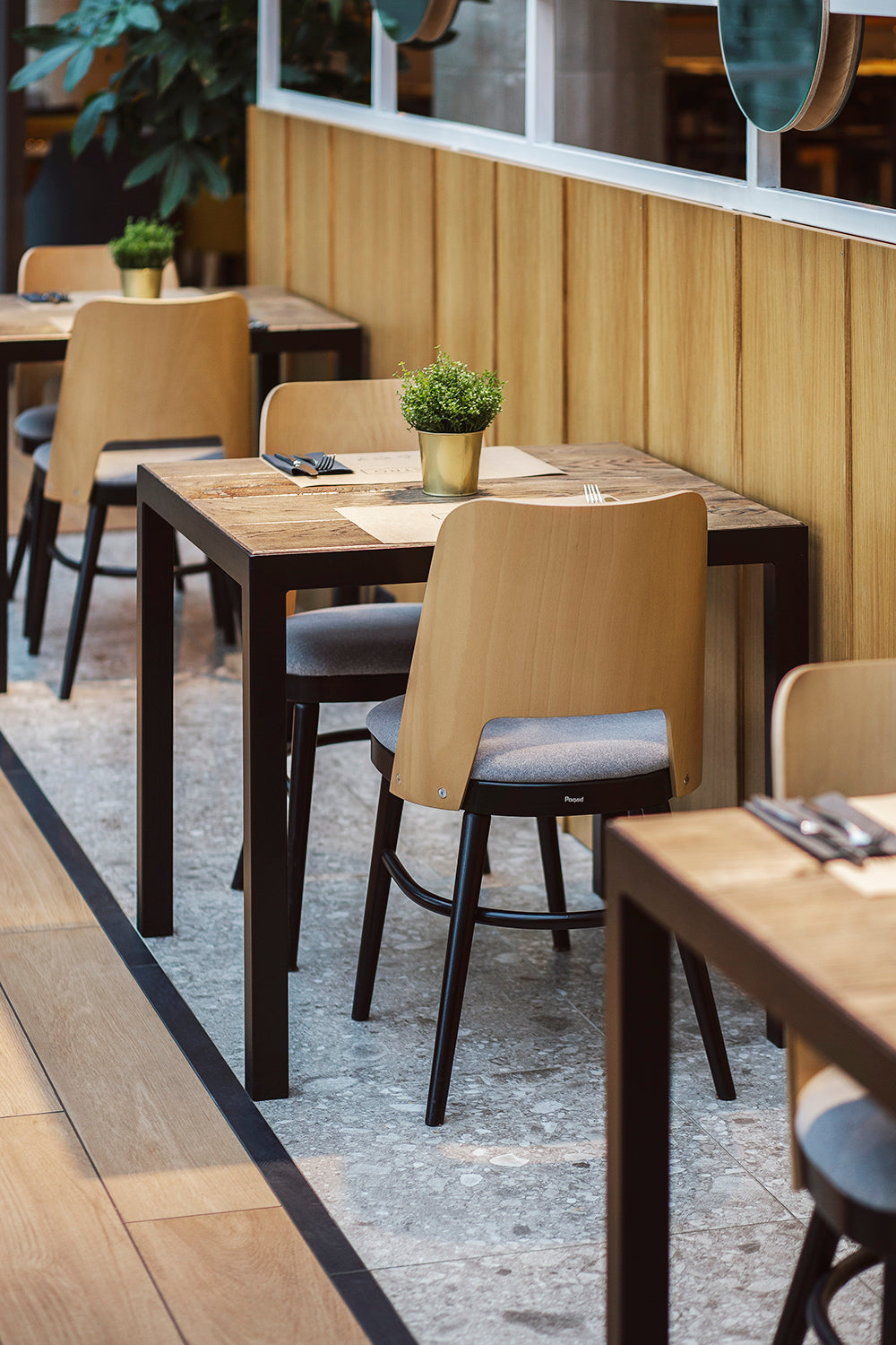 Stuhlschale A-0043 Buchenholz