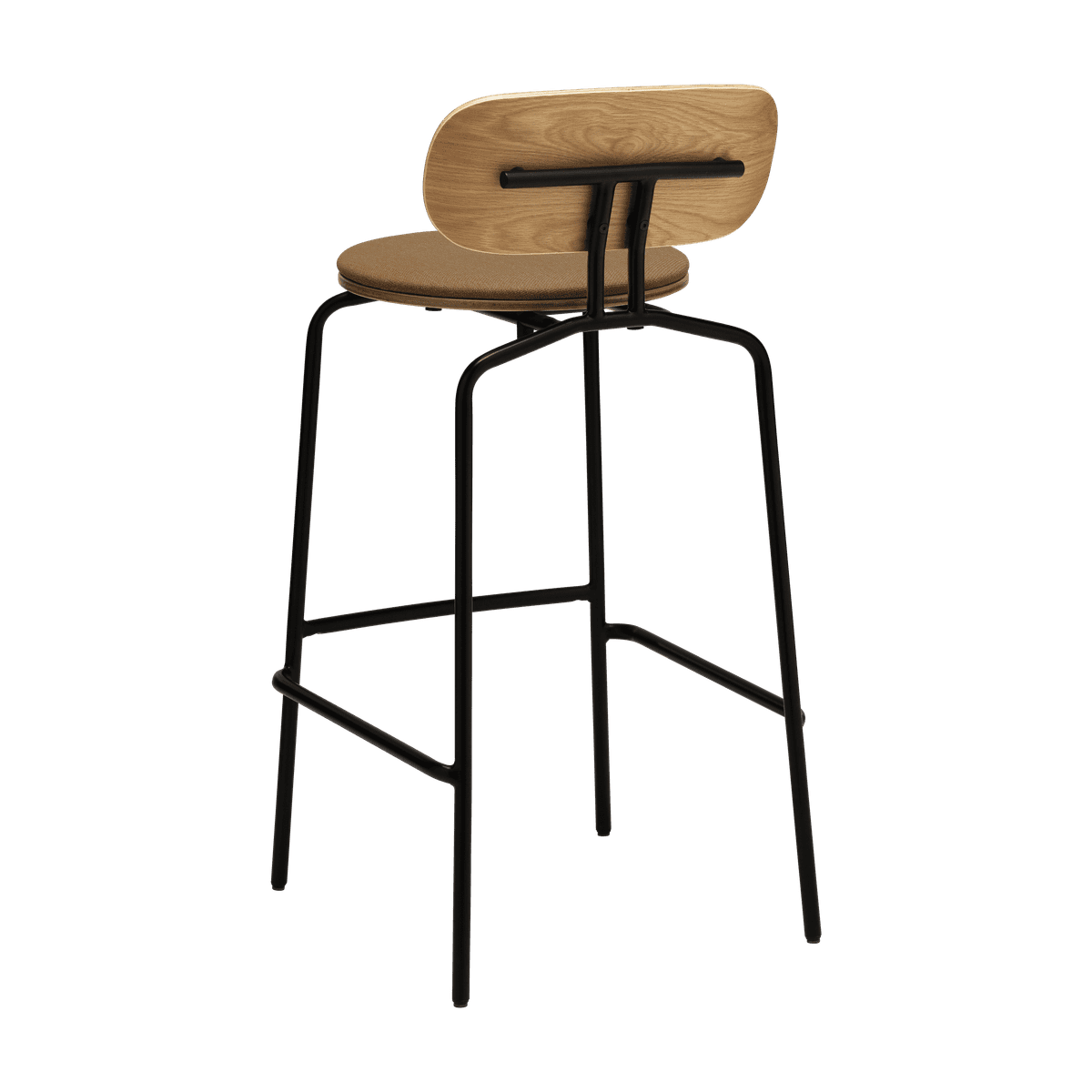 Cinnamon curious hoker with a black base