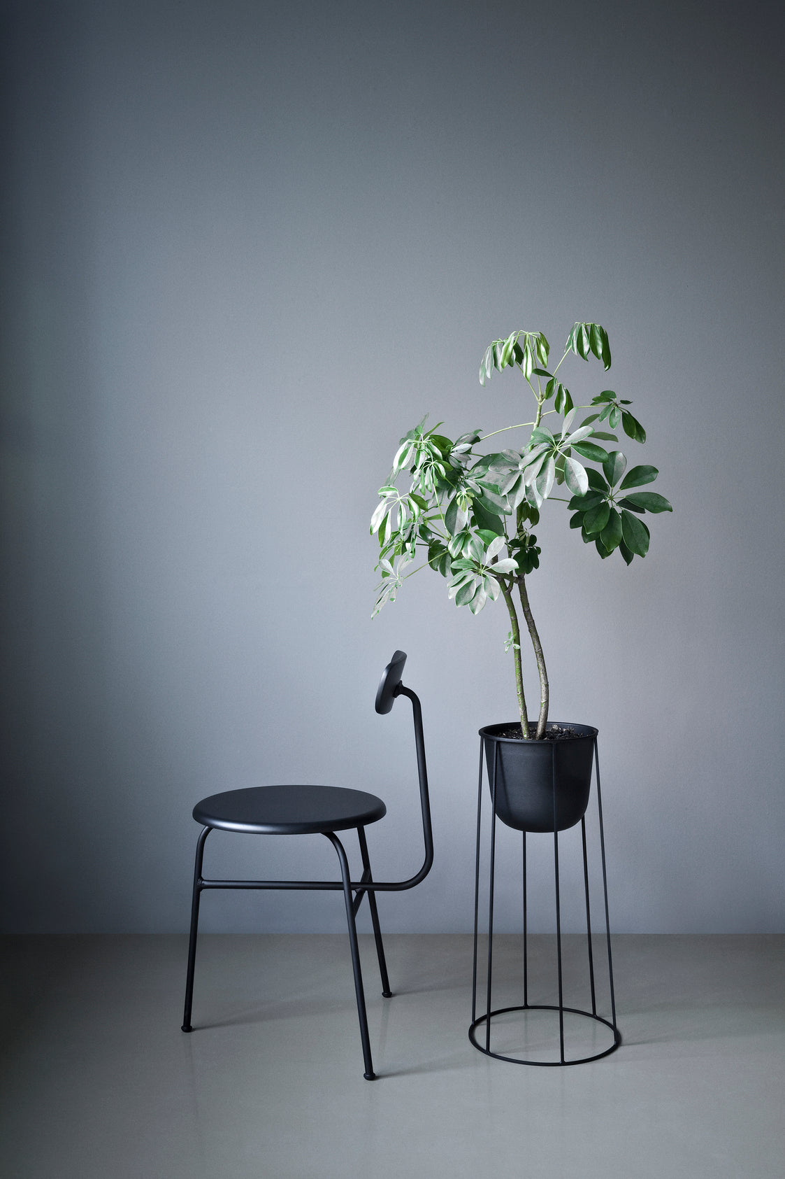 Stuhl AFTEROOM Eichenfurnier mit gepolstertem grünen Sitz