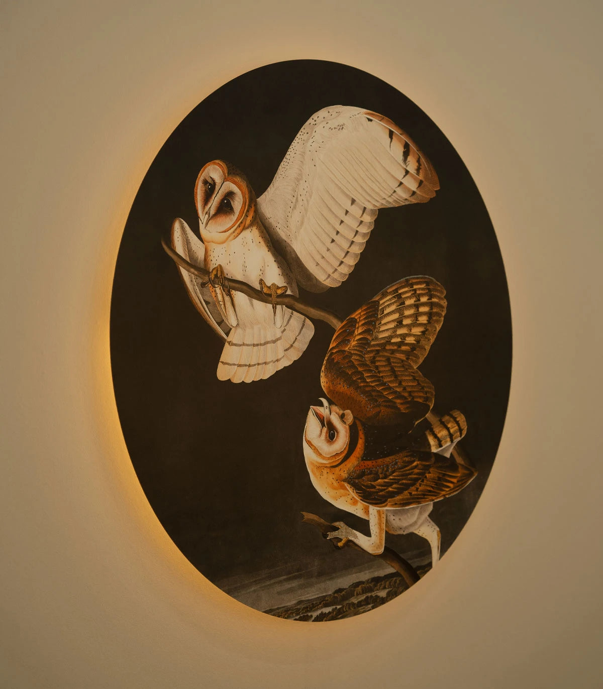Wandleuchte DOTS LIGHTING - OWLS dunkelgrau
