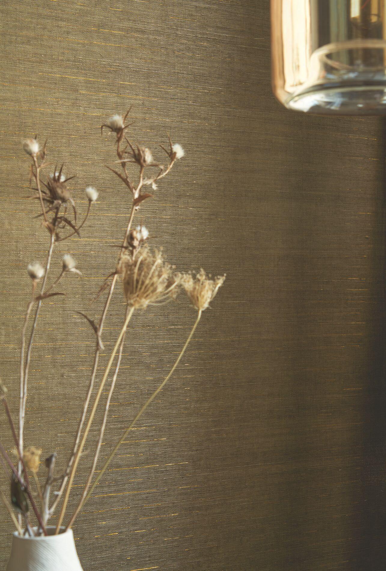 Natuurlijke structuurverf die agavebladeren imiteert STRIATA - ANTRACIET/ZILVER antraciet met zilver