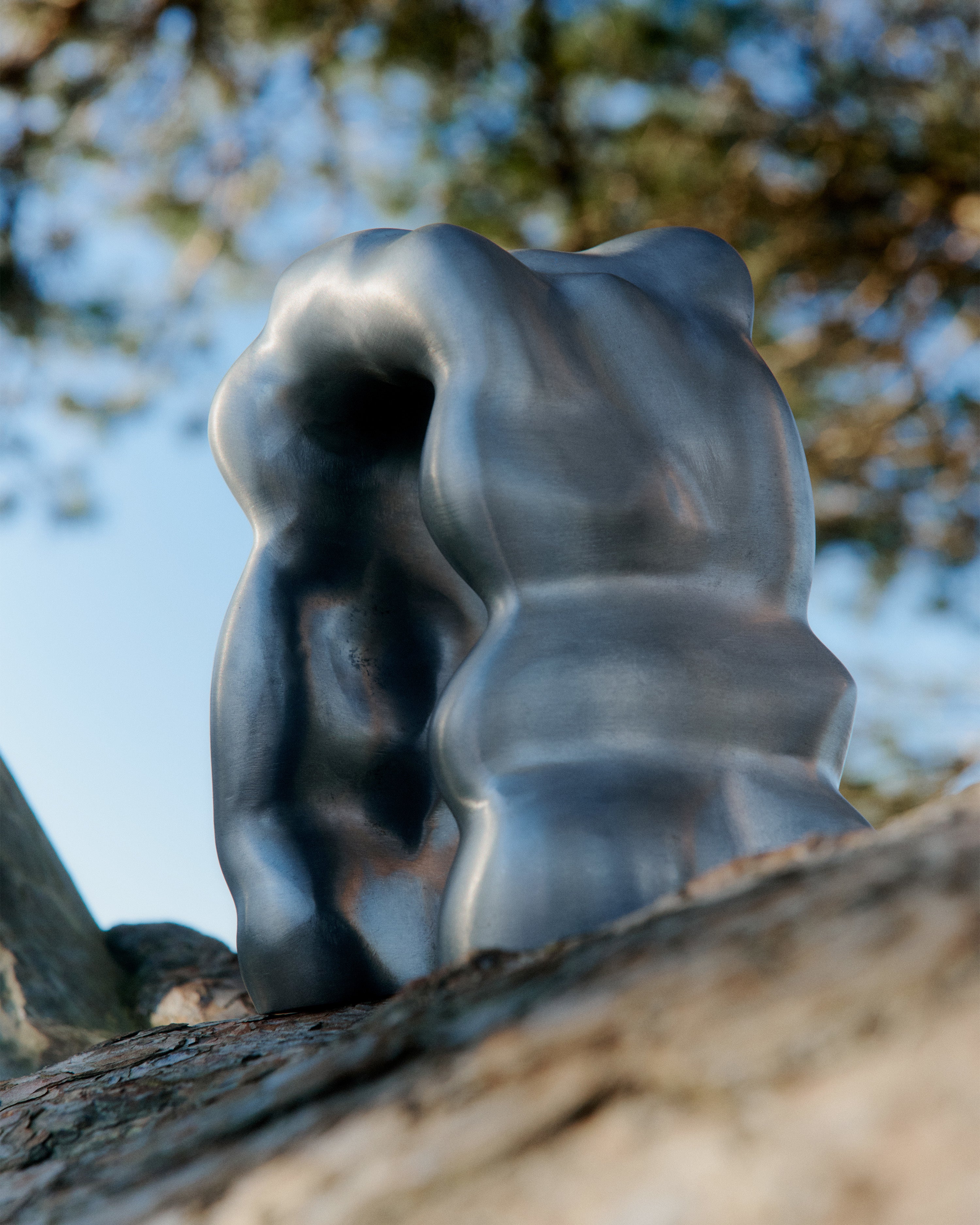 MORF SCULPTURE decoratie geborsteld aluminium