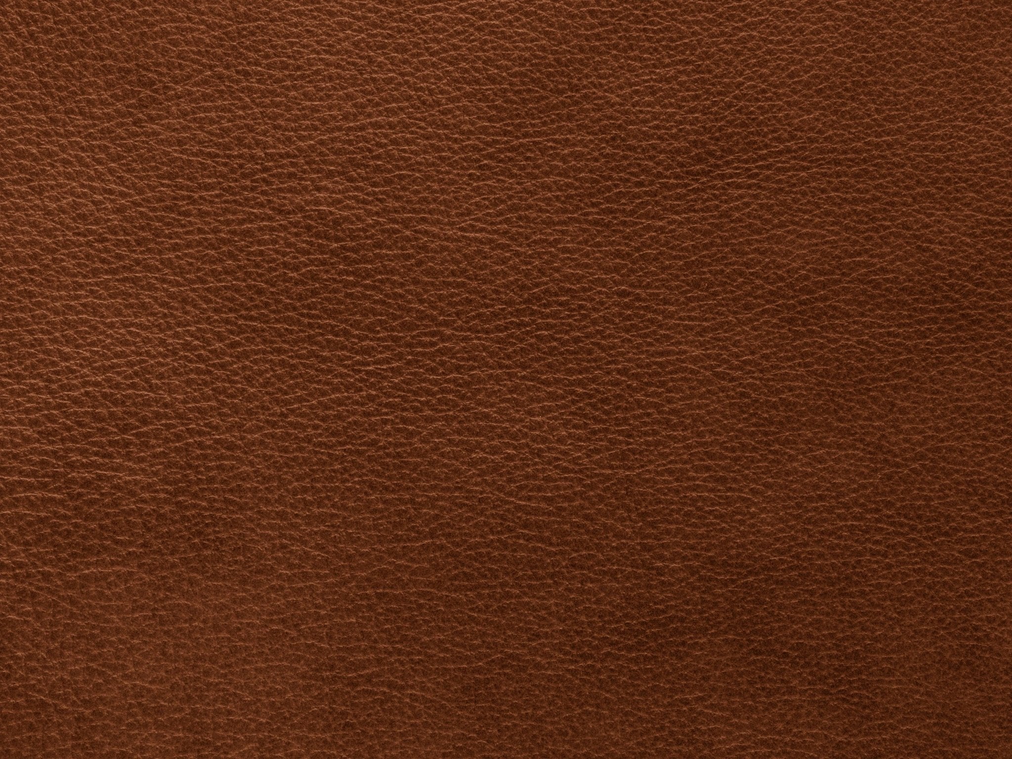 Fotel skórzany MONI brązowy Maison Heritage    Eye on Design