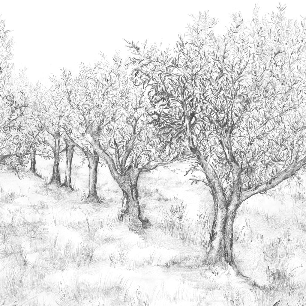 Wandbild mit Landschaftsdesign und Baum-Motiv LAURIS INT - NOIR/BLANC schwarz-weiß