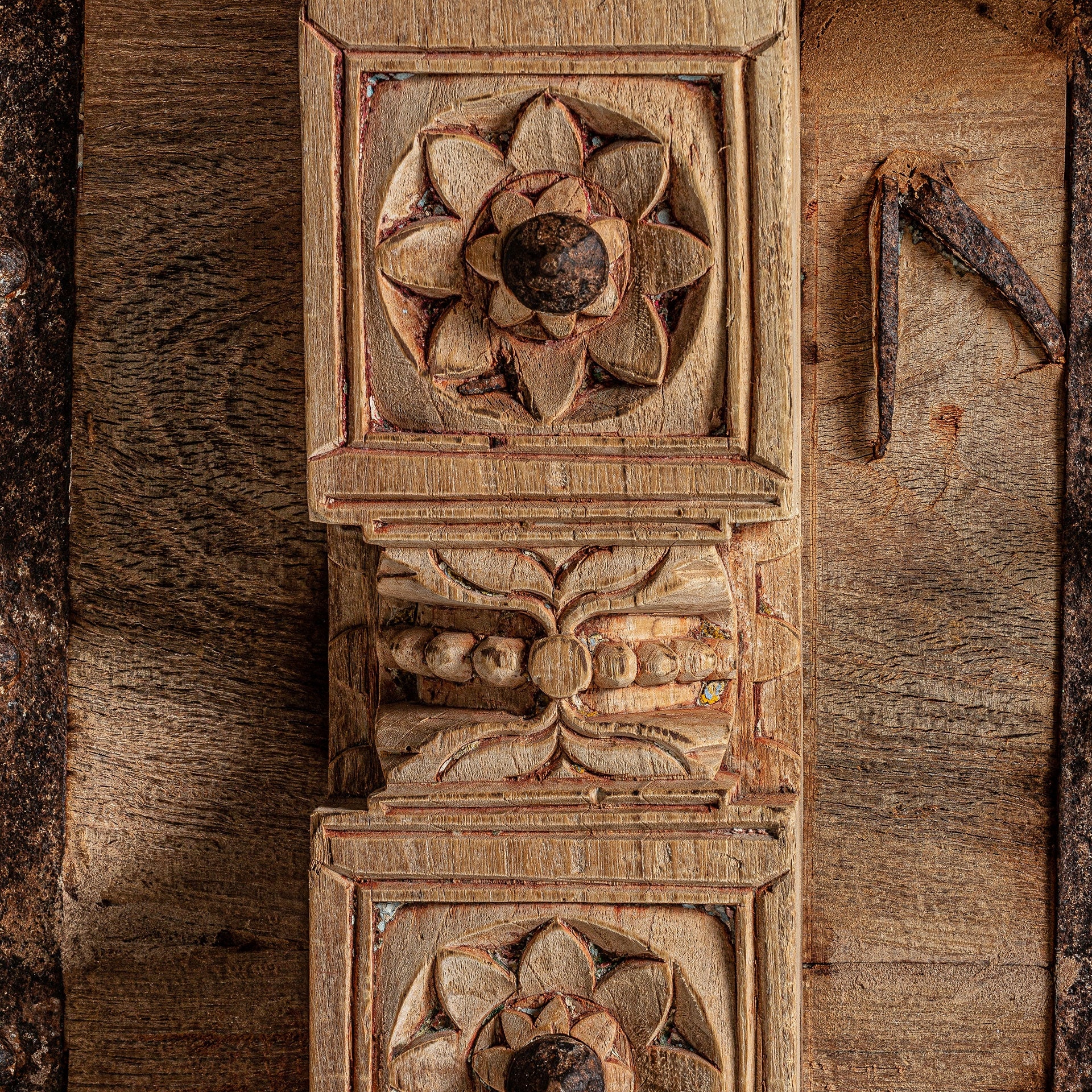 PHALODI Chest Mango Wood