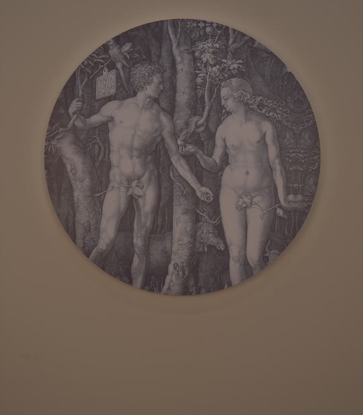 Wall Lamp DOTS LIGHTING - FORBIDDEN FRUIT gray