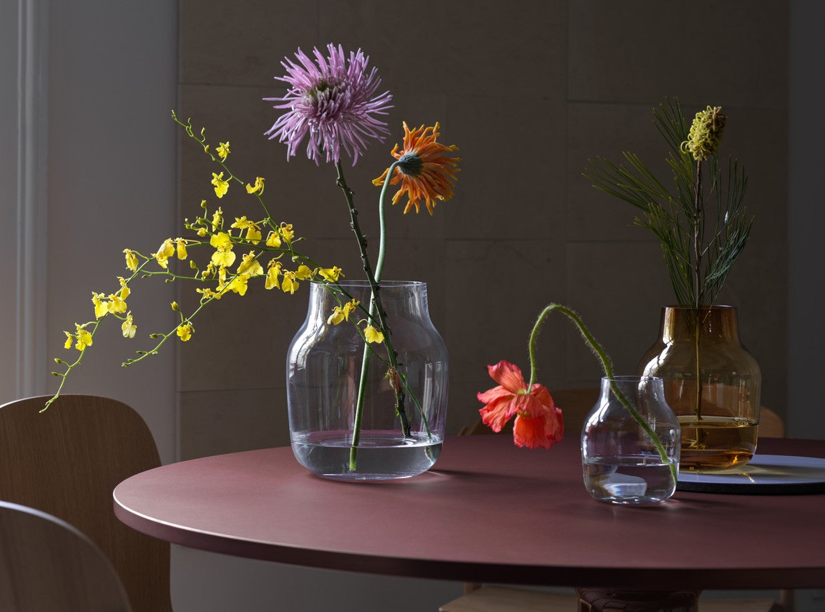 Transparent Glass Vase SILENT
