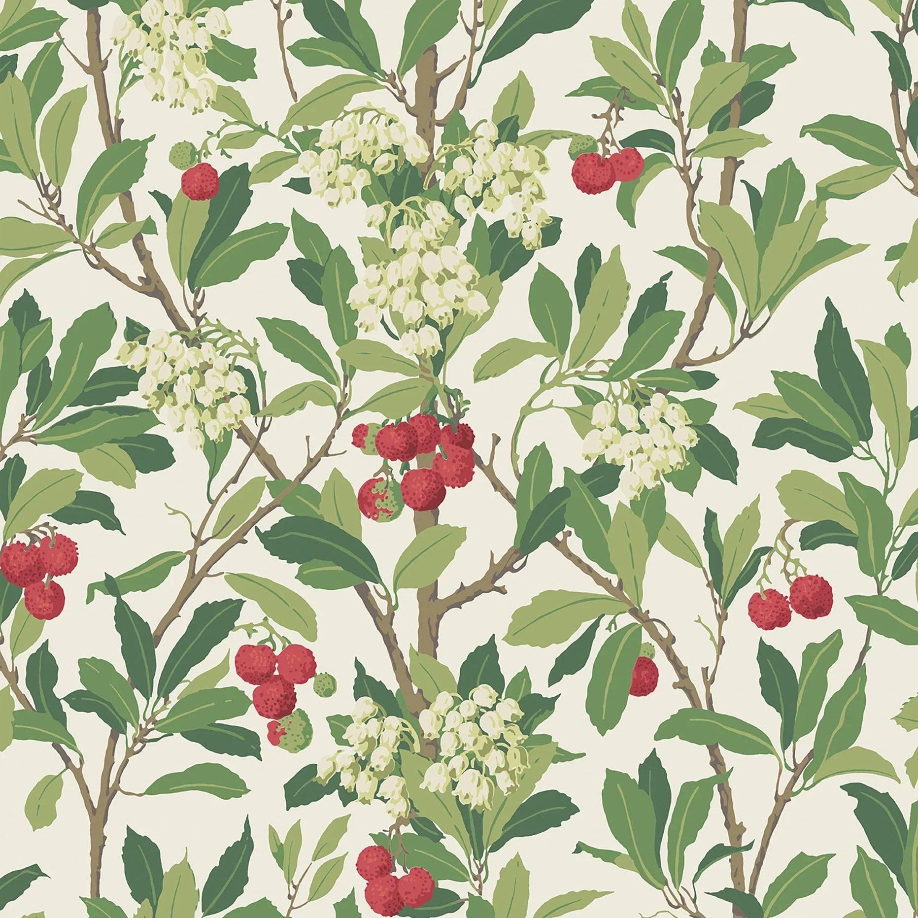 Tapeta ARCHIVE ANTHOLOGY - Strawberry Tree czerwień na bieli Cole & Son Default Title   Eye on Design