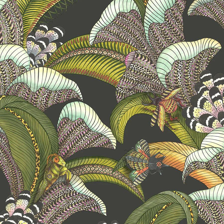 Tapeta ARDMORE JABULA - Hoopoe Leaves zieleń na czarnym Cole & Son Default Title   Eye on Design