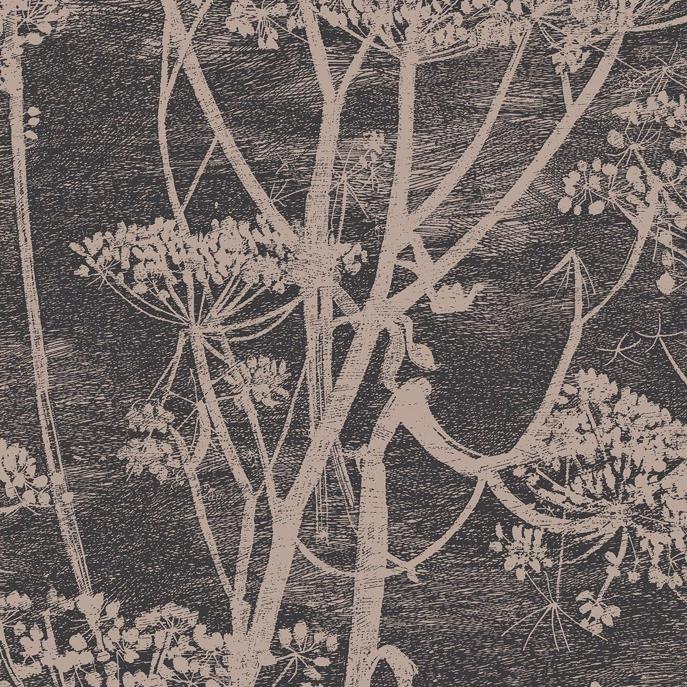 Tapeta CONTEMPORARY COLLECTION - Cow Parsley ciemny brąz Cole & Son Default Title   Eye on Design