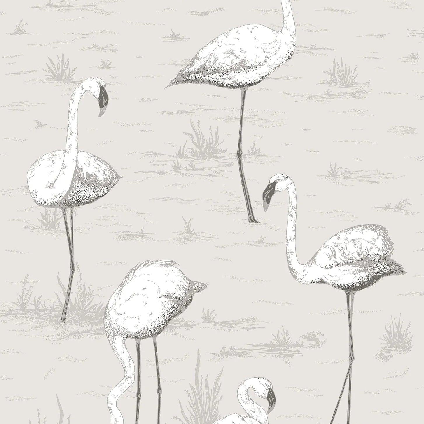 Tapeta CONTEMPORARY COLLECTION - Flamingos szary Cole & Son    Eye on Design